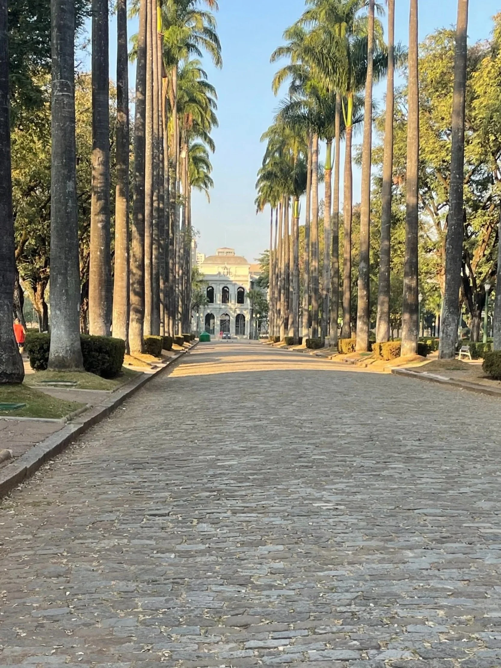 Tree-lined cobblestone pathway leading to a historic building in a park with tall palm trees on both sides.