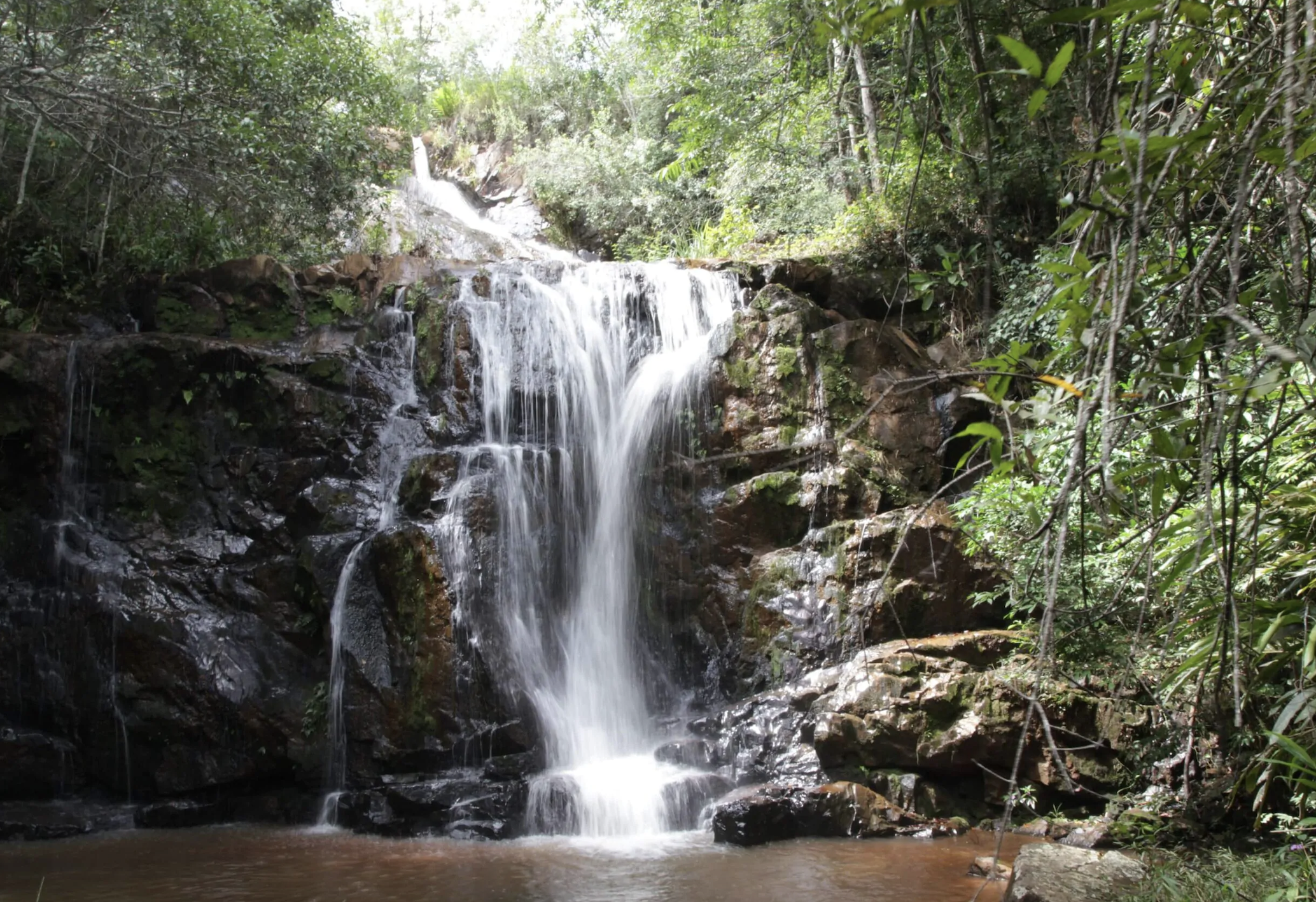 A small waterfall flowing over rocks surrounded by lush green vegetation in a jungle setting.
