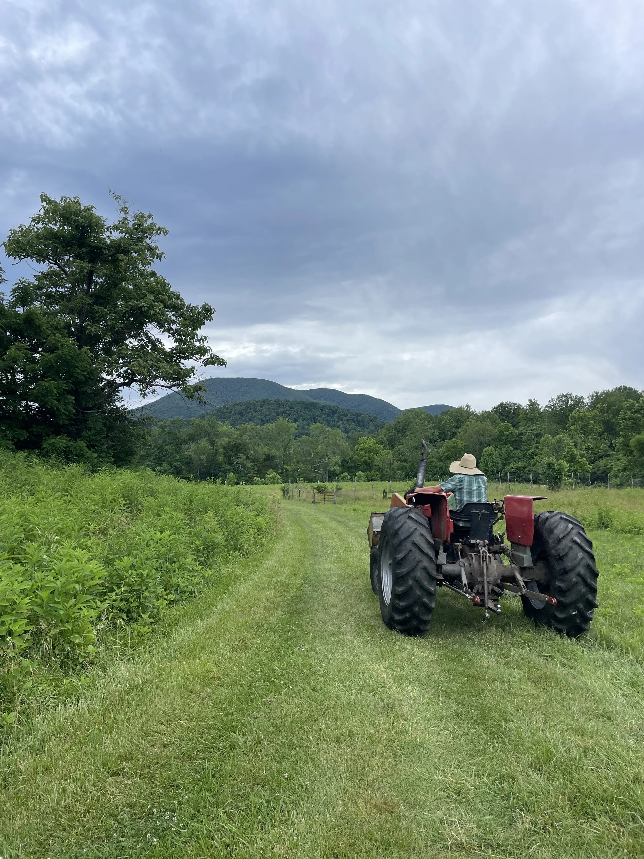 A person wearing a hat driving an old red tractor on a grassy farm trail surrounded by green fields and trees, with hills and a partly cloudy sky in the background.