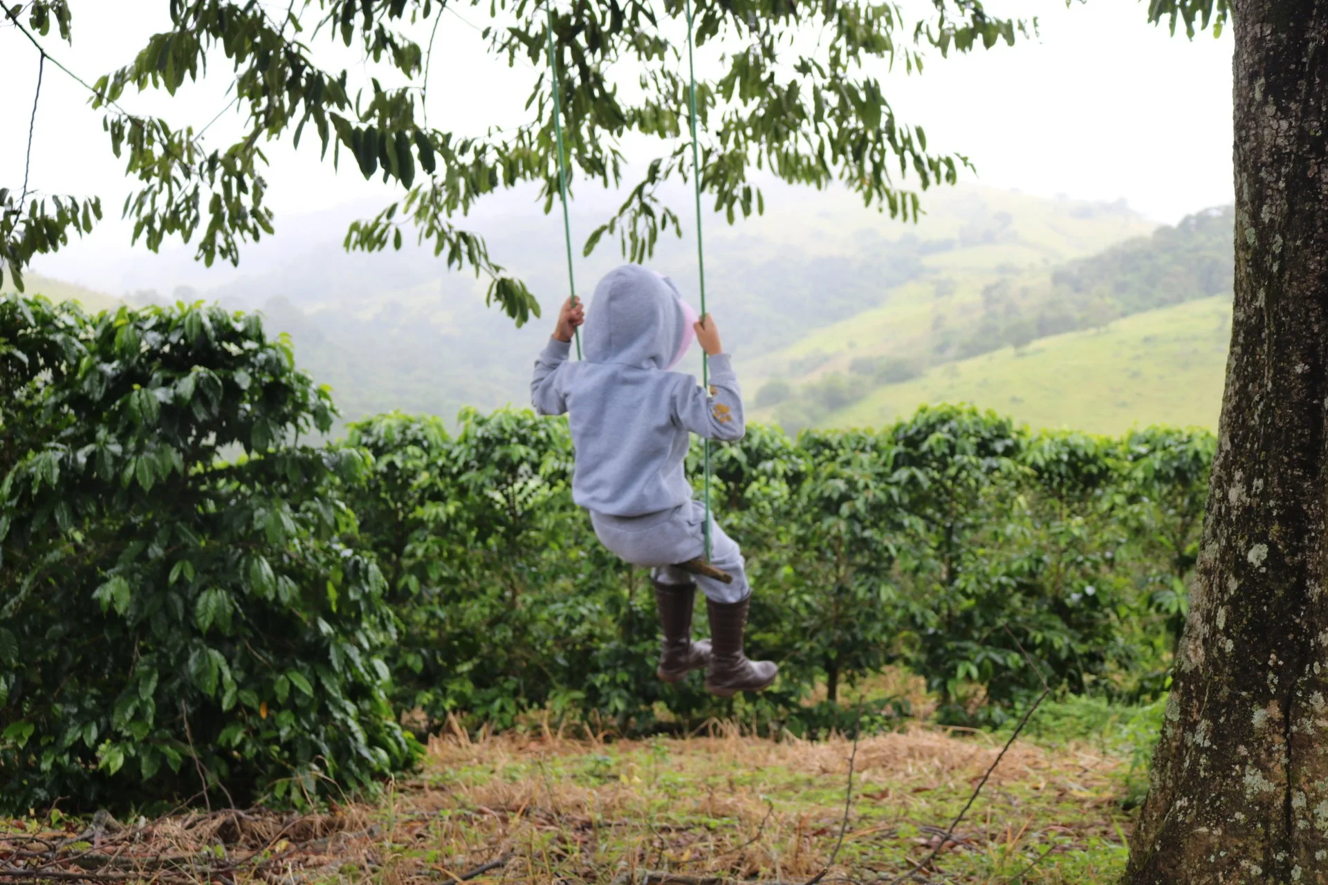 A child in a gray hoodie and rain boots sitting on a swing hanging from a tree, surrounded by green foliage and hills in the background during a cloudy day.