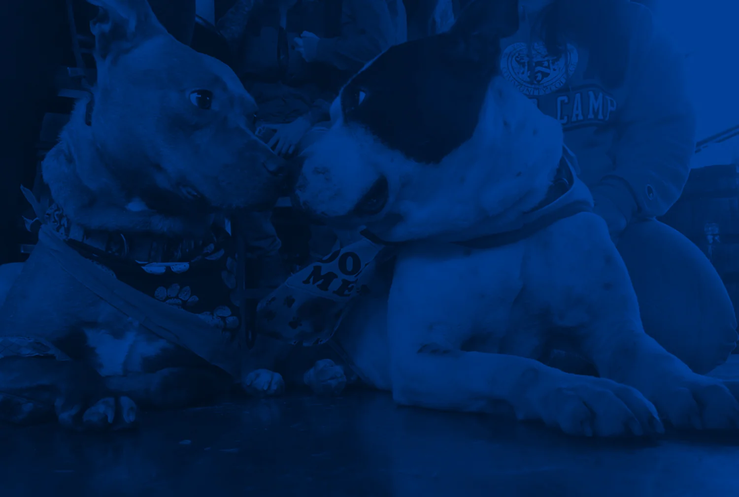 Banner-05.jpg
