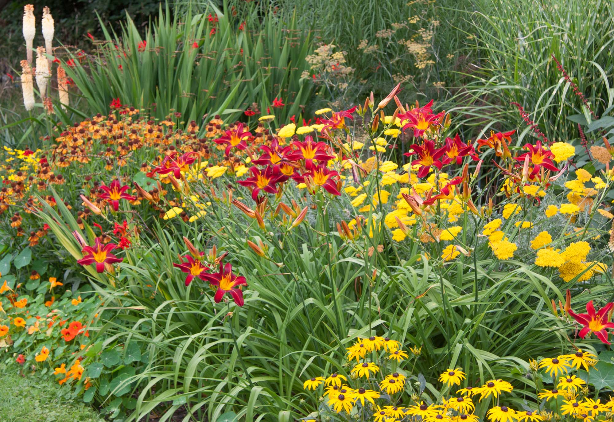 Planting design using trees, shrubs, perennials and bulbs in North ...