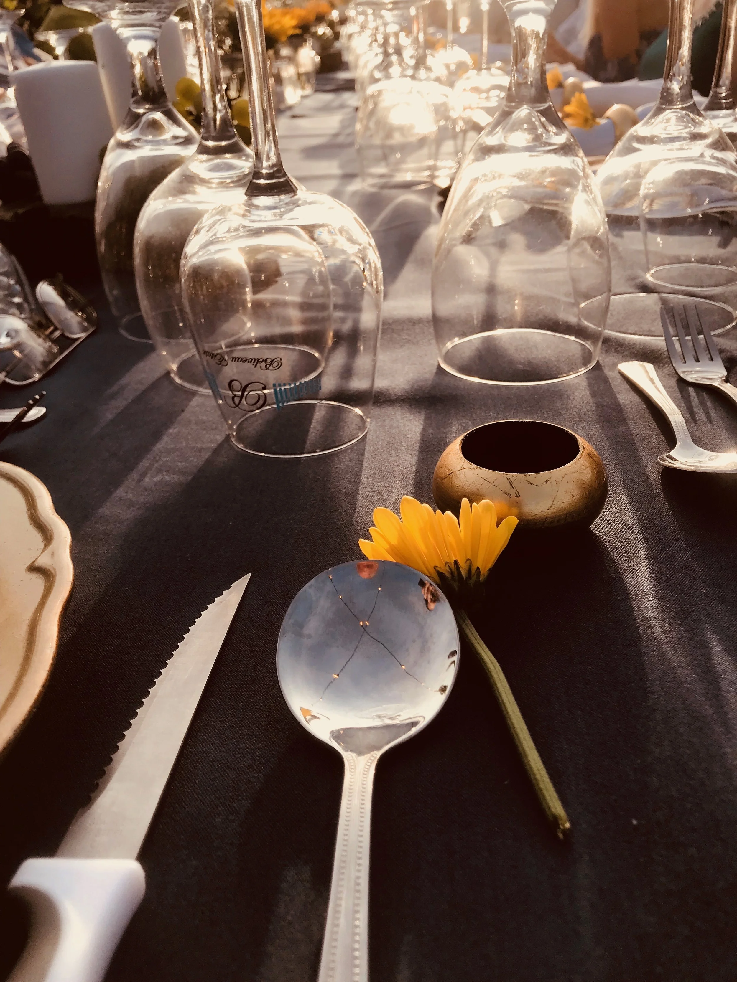 dine-with-the-vines.jpg