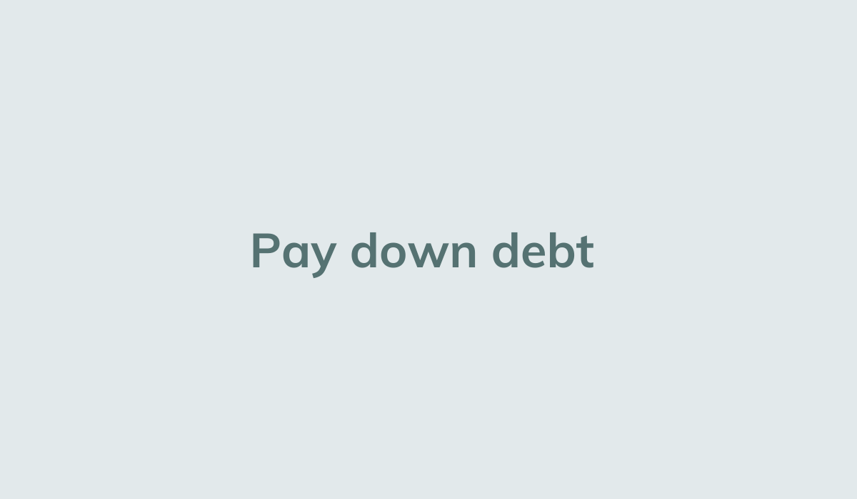 Pay down debt.png