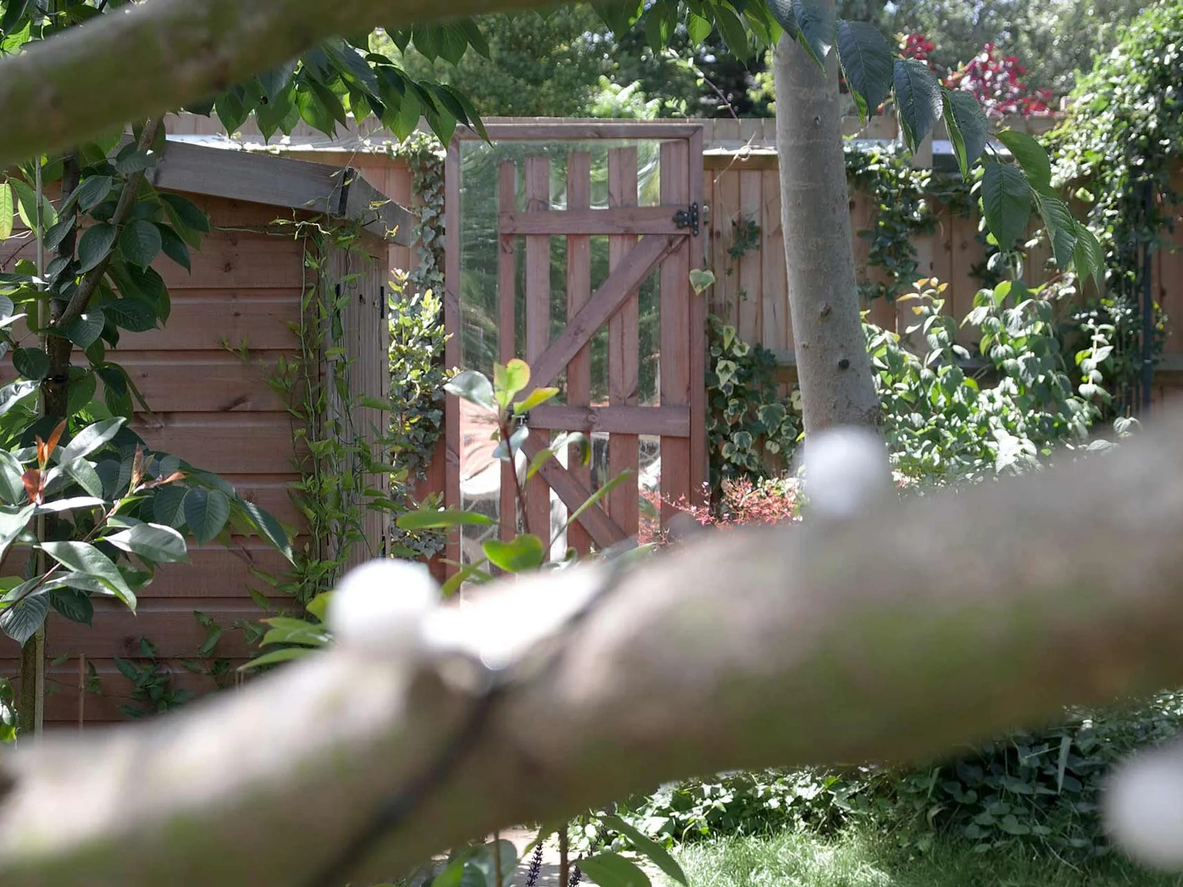 Project-7-fence.jpg