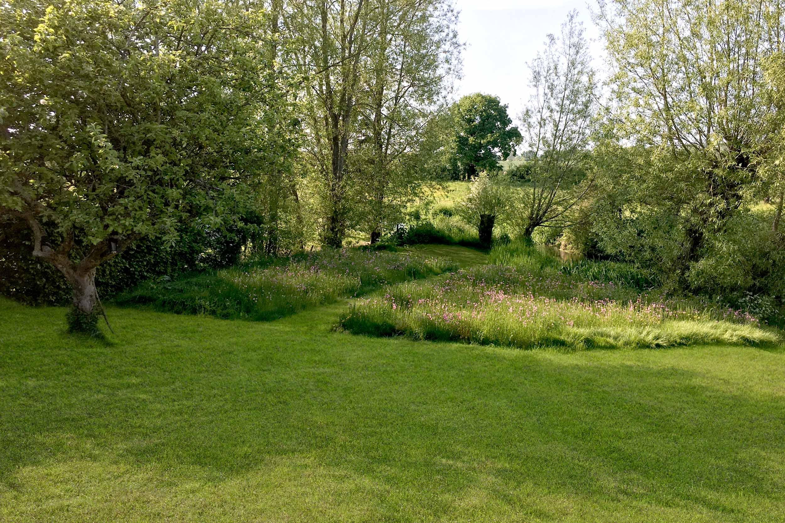 Wildflowers &amp; native trees, garden design &amp; build Farnham, Surrey