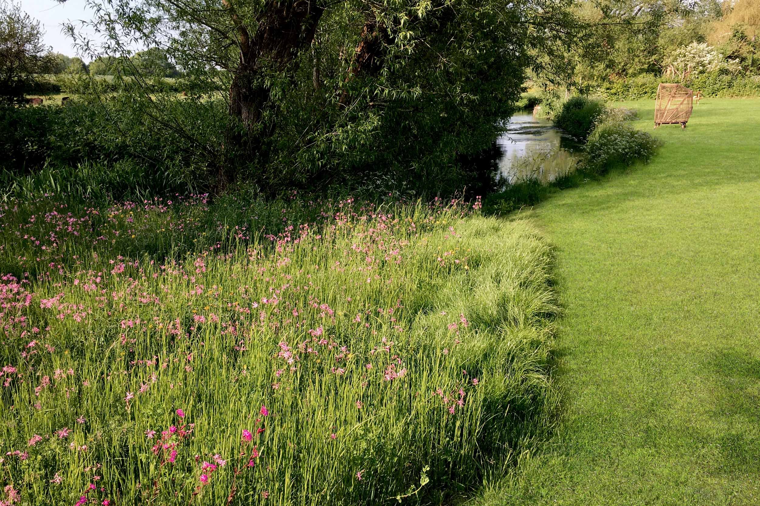 Wildflower river &amp; lawn, garden design &amp; build Farnham, Surrey