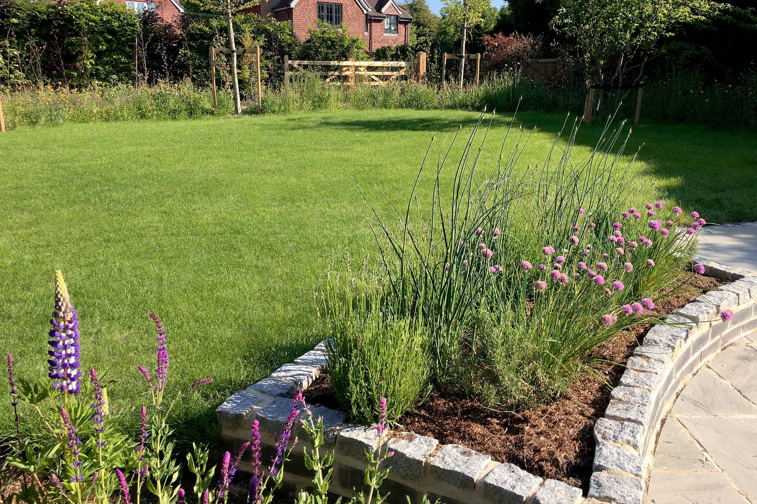 Wildflower bed &amp; lawn, garden design &amp; build Farnham, Surrey