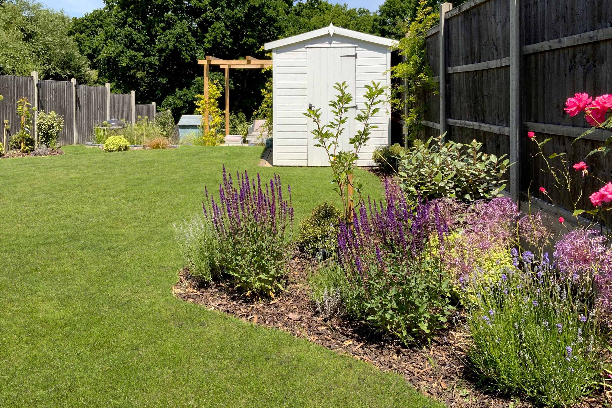 Terraced garden, plants for pollinators. New build garden landscaping Rowledge, Hampshire near Farnham&nbsp;
