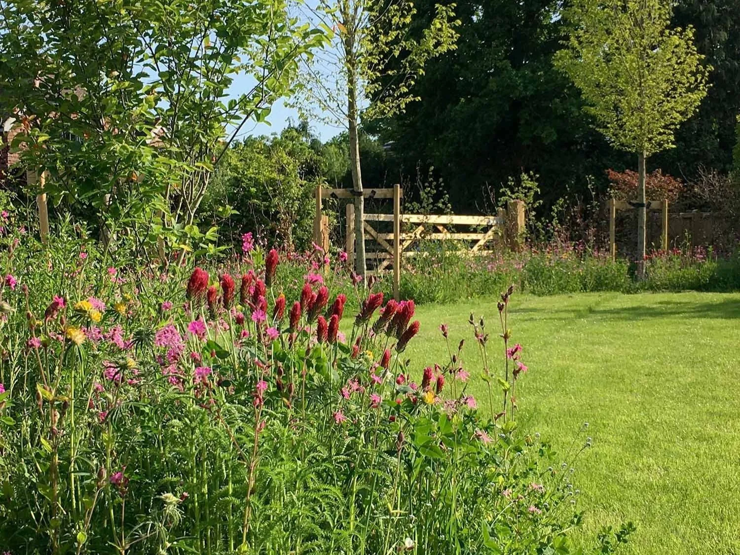 Wildflower Garden