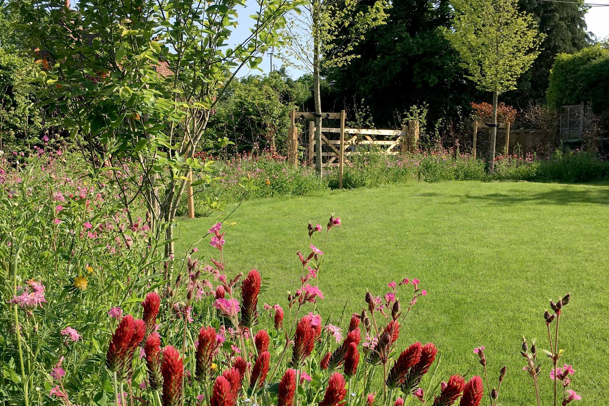 Wildflowers &amp; lawn. Garden design &amp; build near Farnham, Surrey