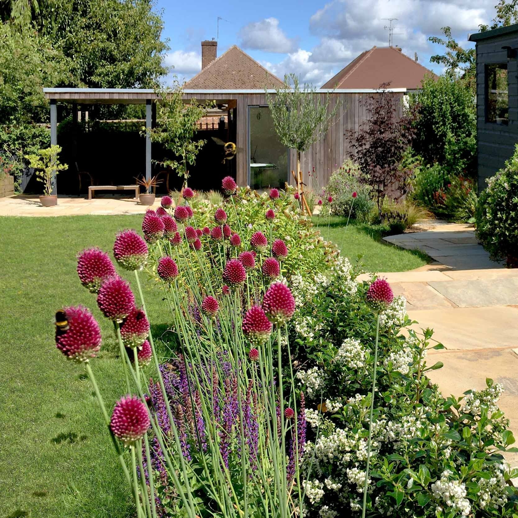 Garden design flowers &amp; lawn, garden design &amp; build Farnham, Surrey
