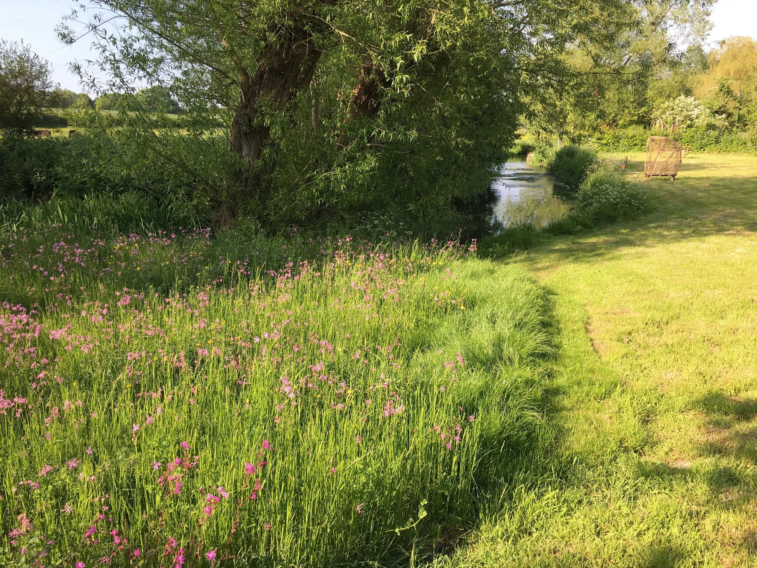 Wildlife Friendly Gardens