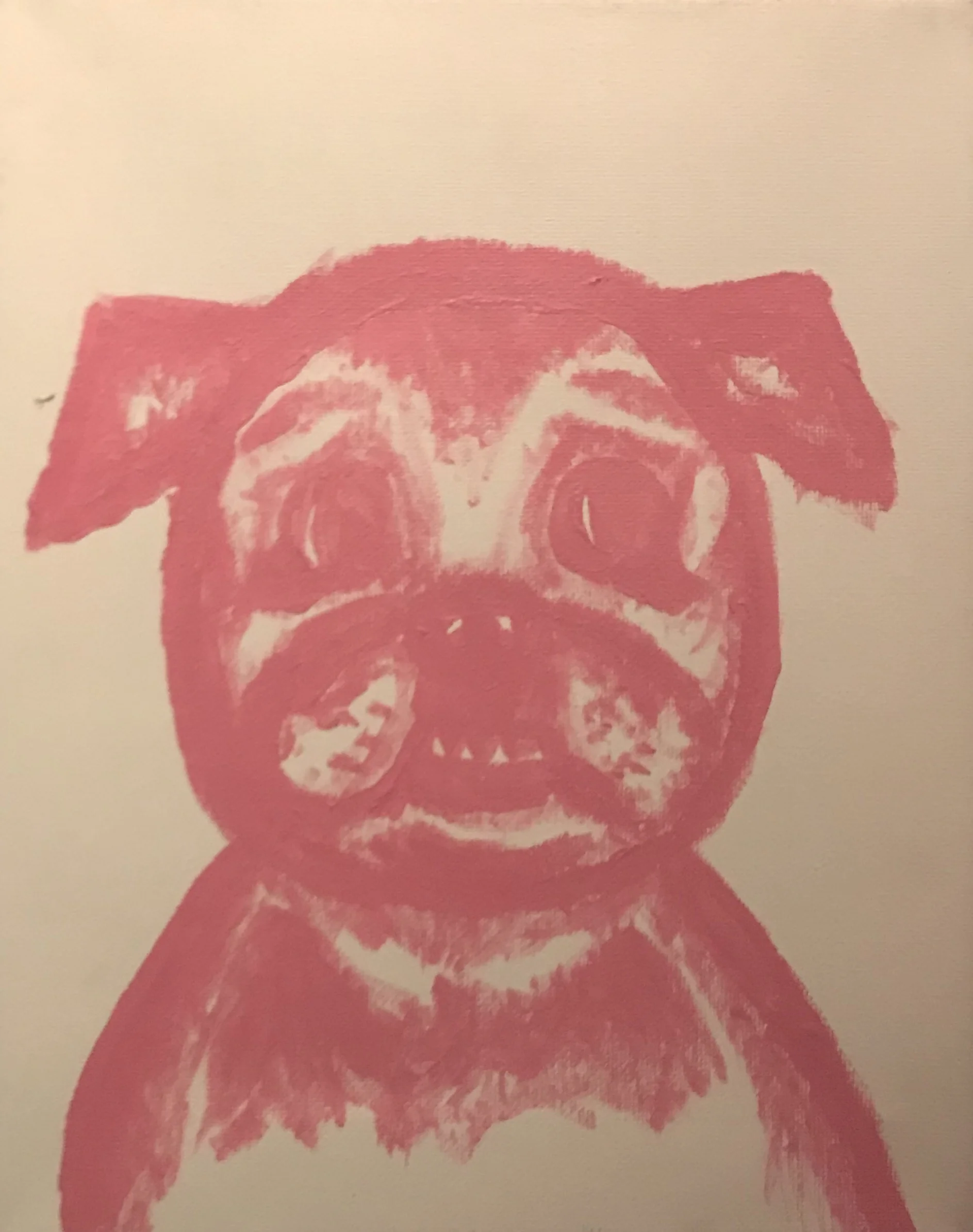 Pugs.jpg