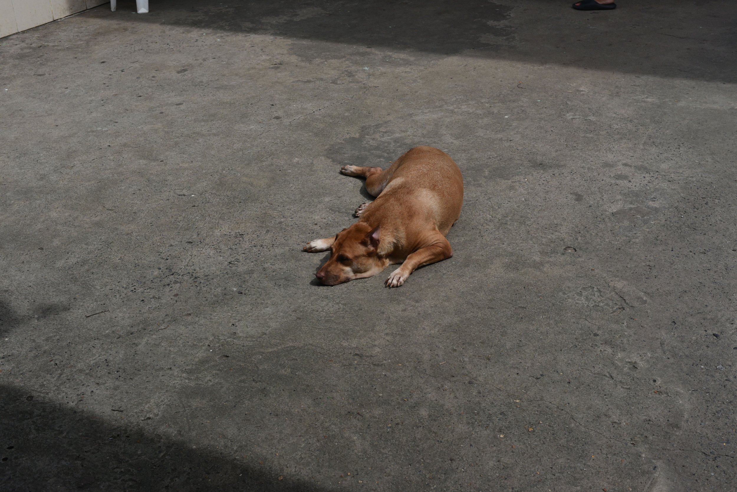 DSC_0016-min.JPG