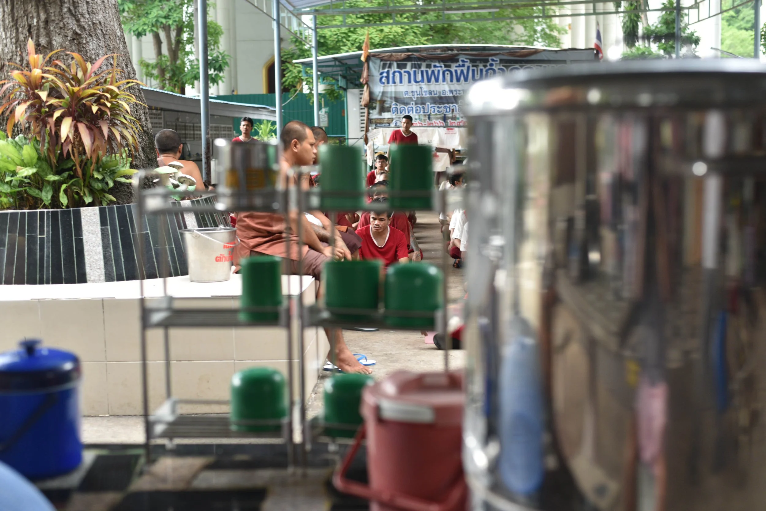 DSC_0247-min.JPG
