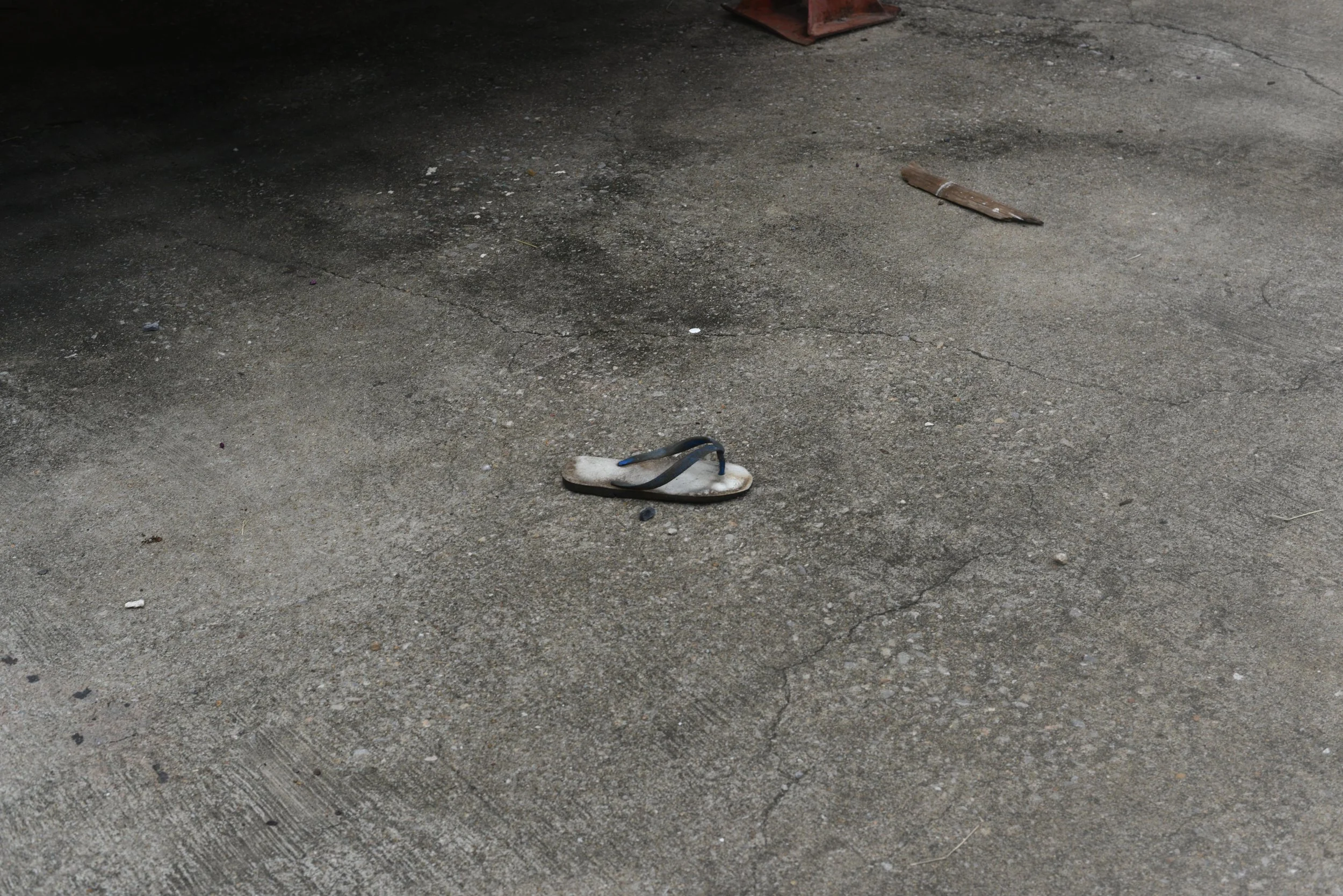 DSC_0396-min.JPG