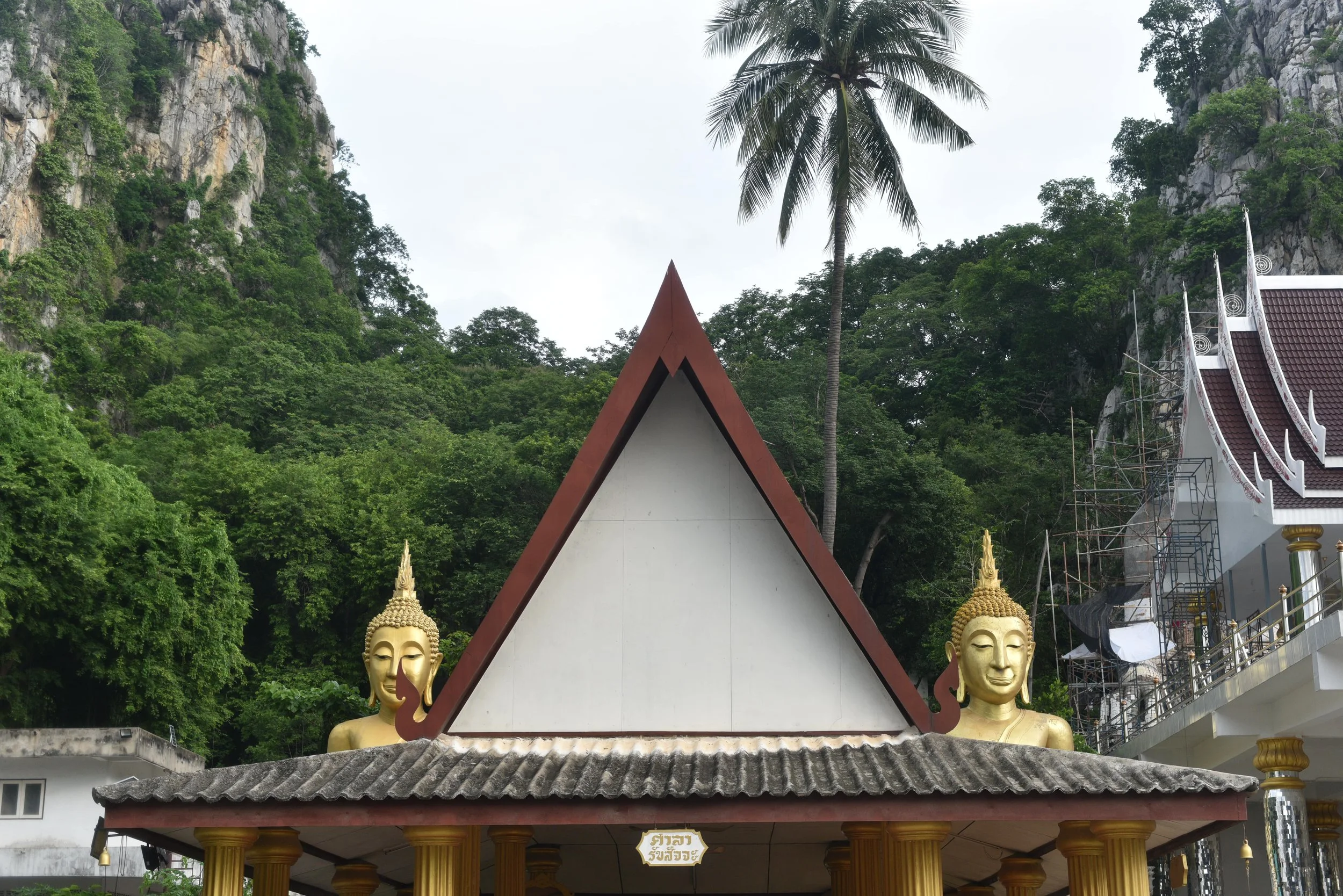DSC_0401-min.JPG