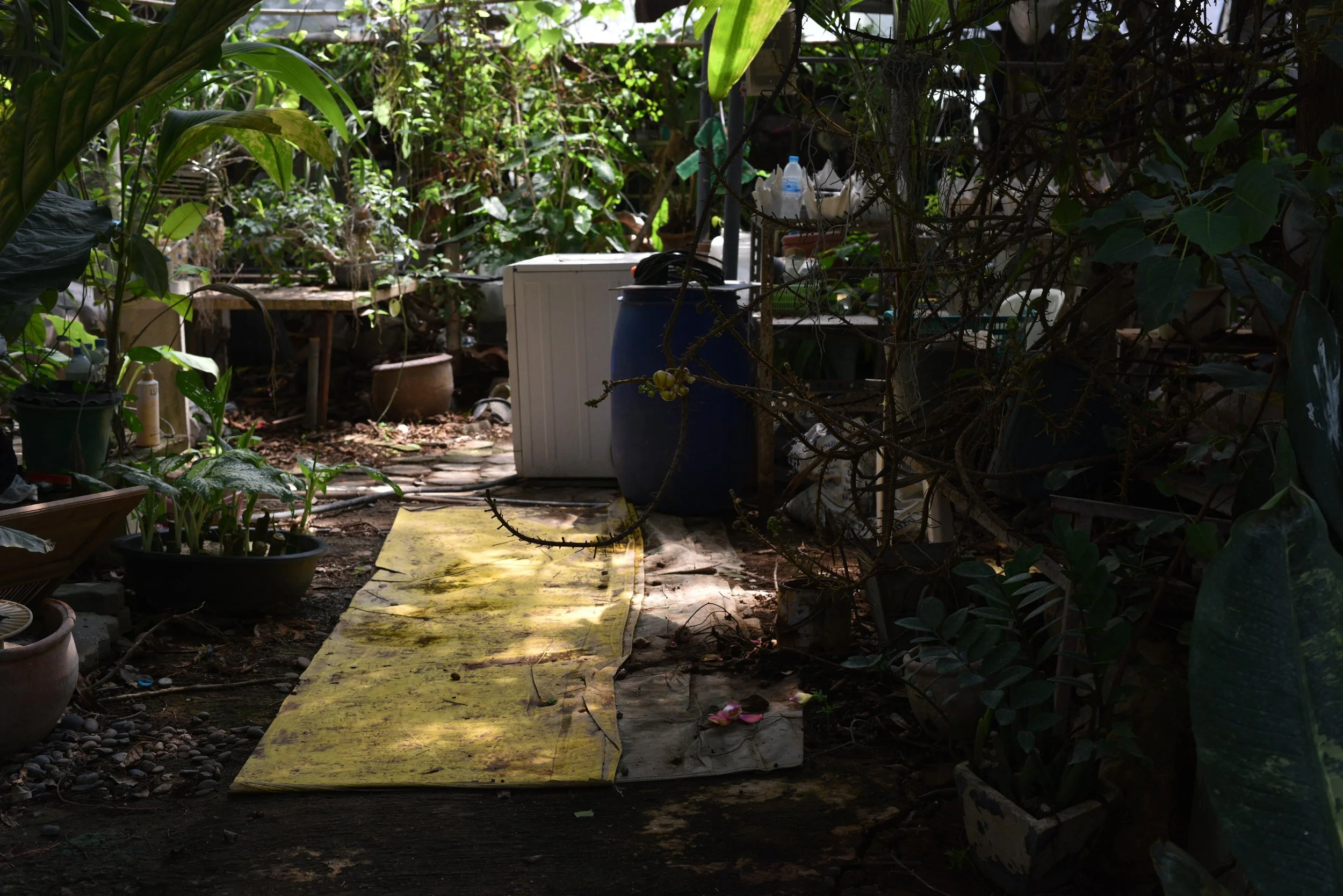 DSC_9197-min.JPG