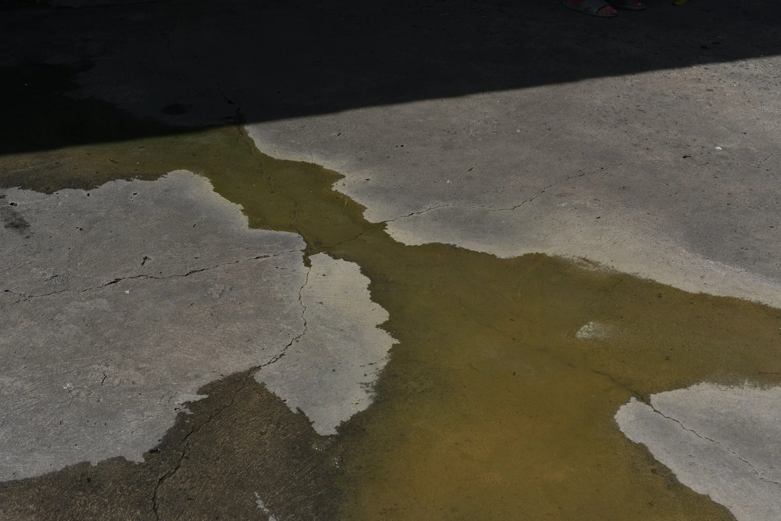 DSC_9253-min.JPG