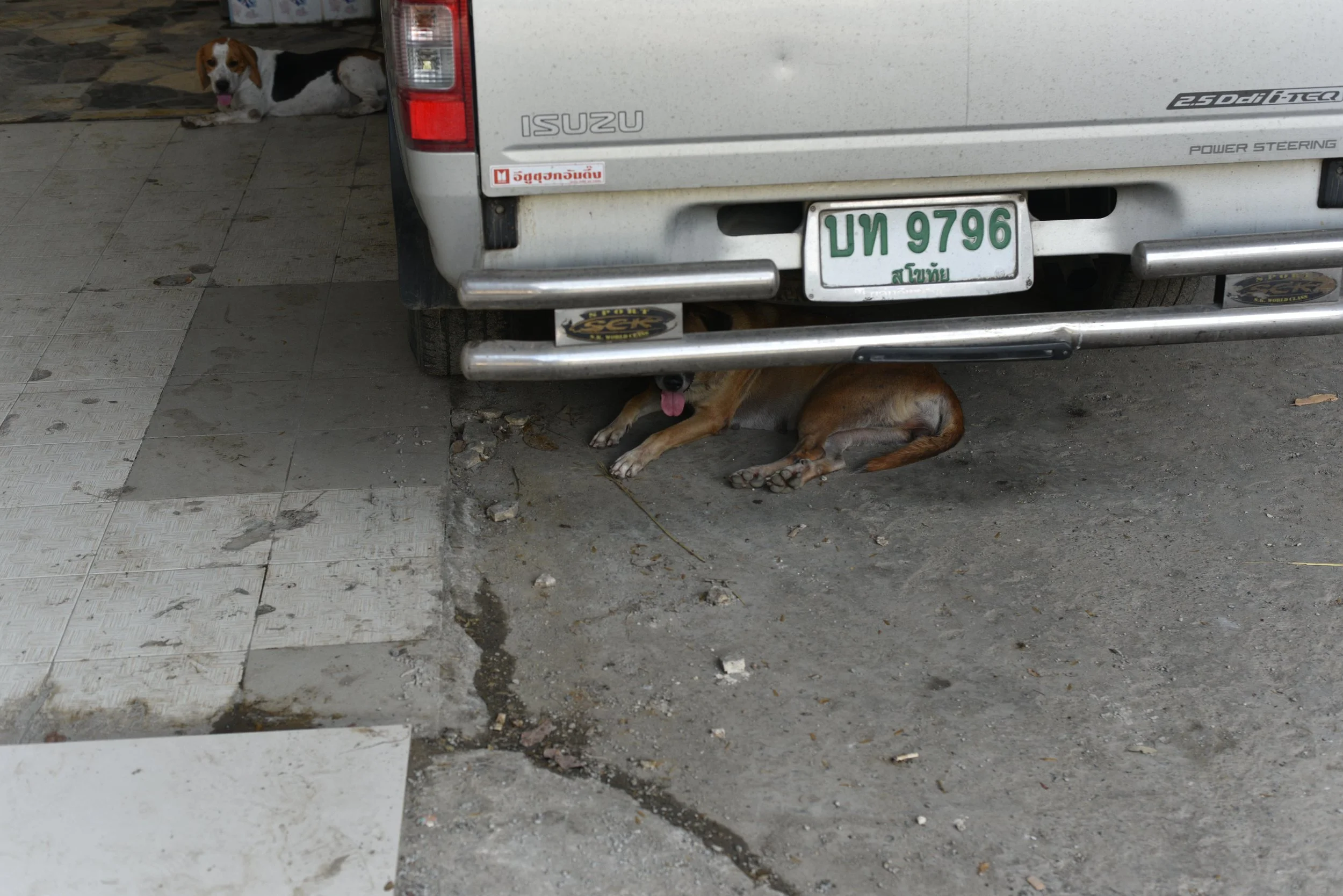 DSC_9411-min.JPG