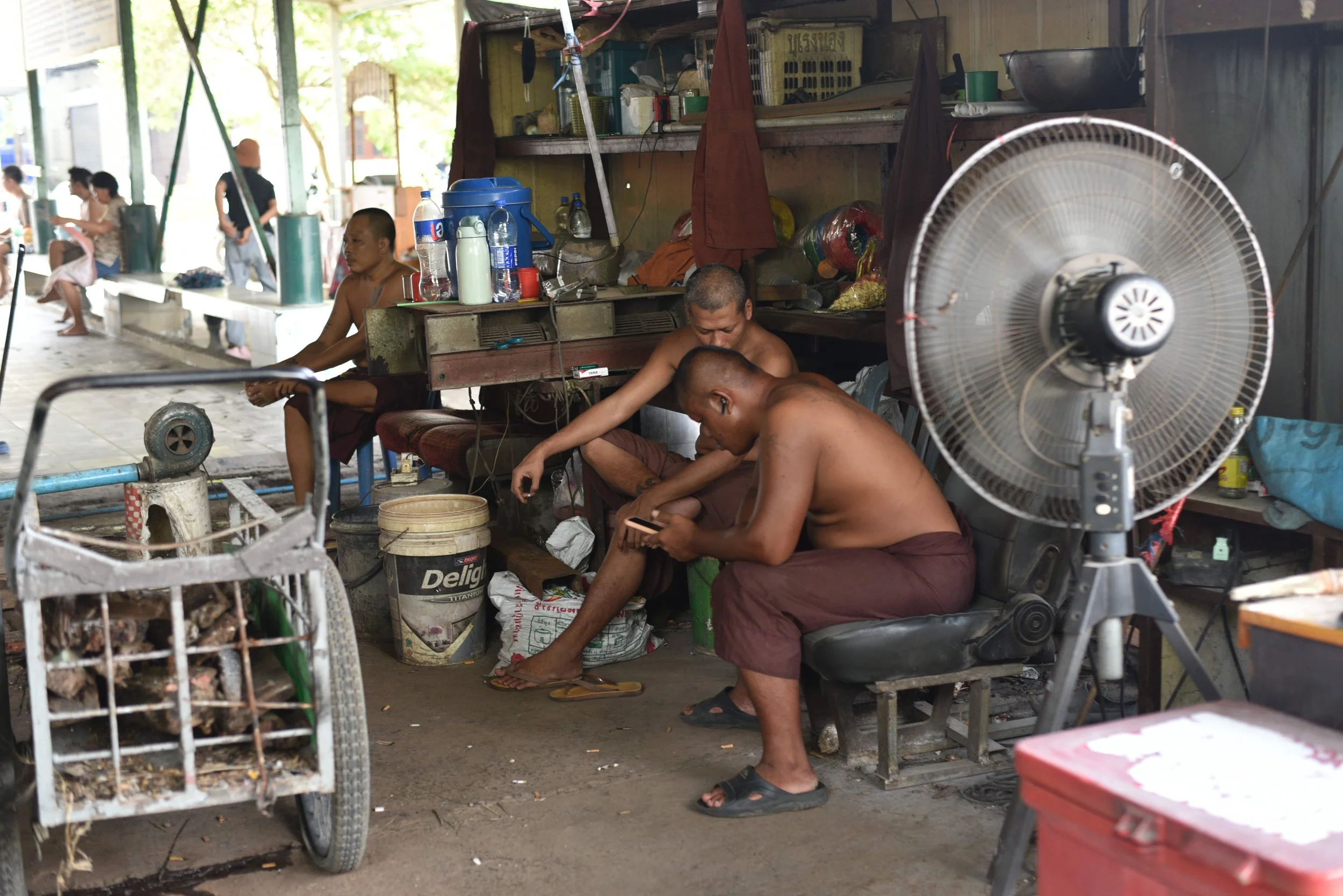 DSC_9418-min.JPG