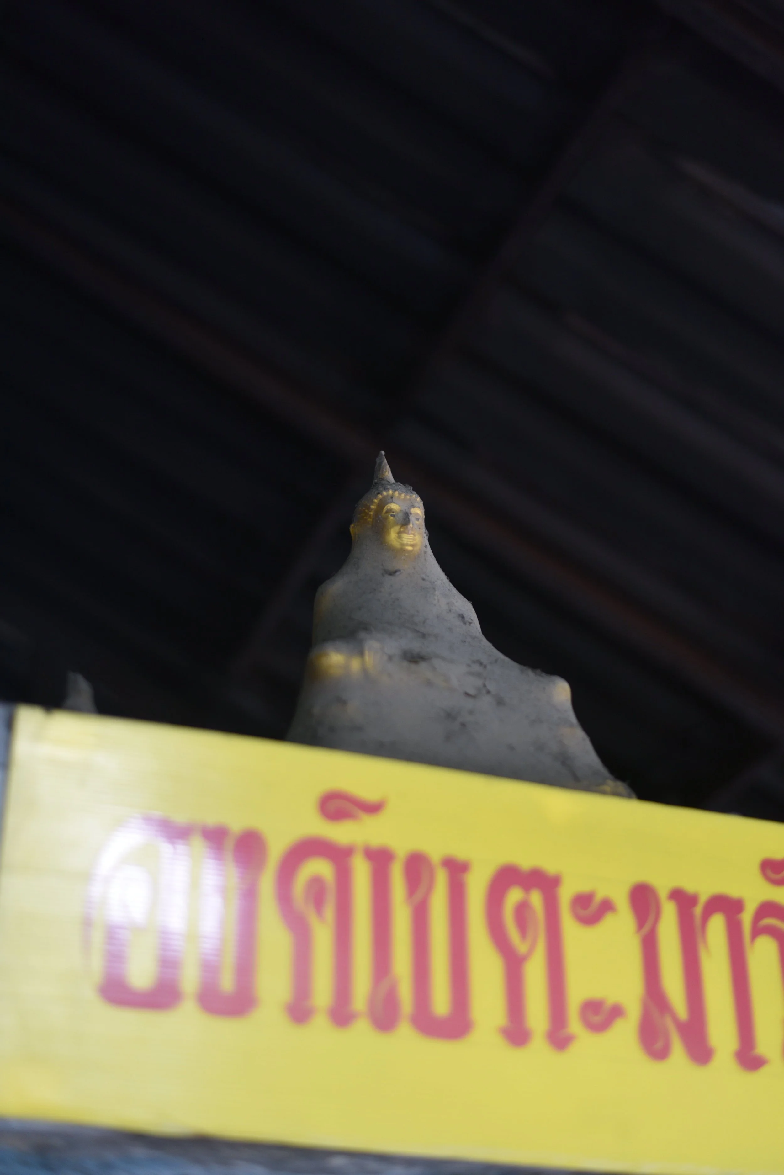 DSC_9516-min.JPG