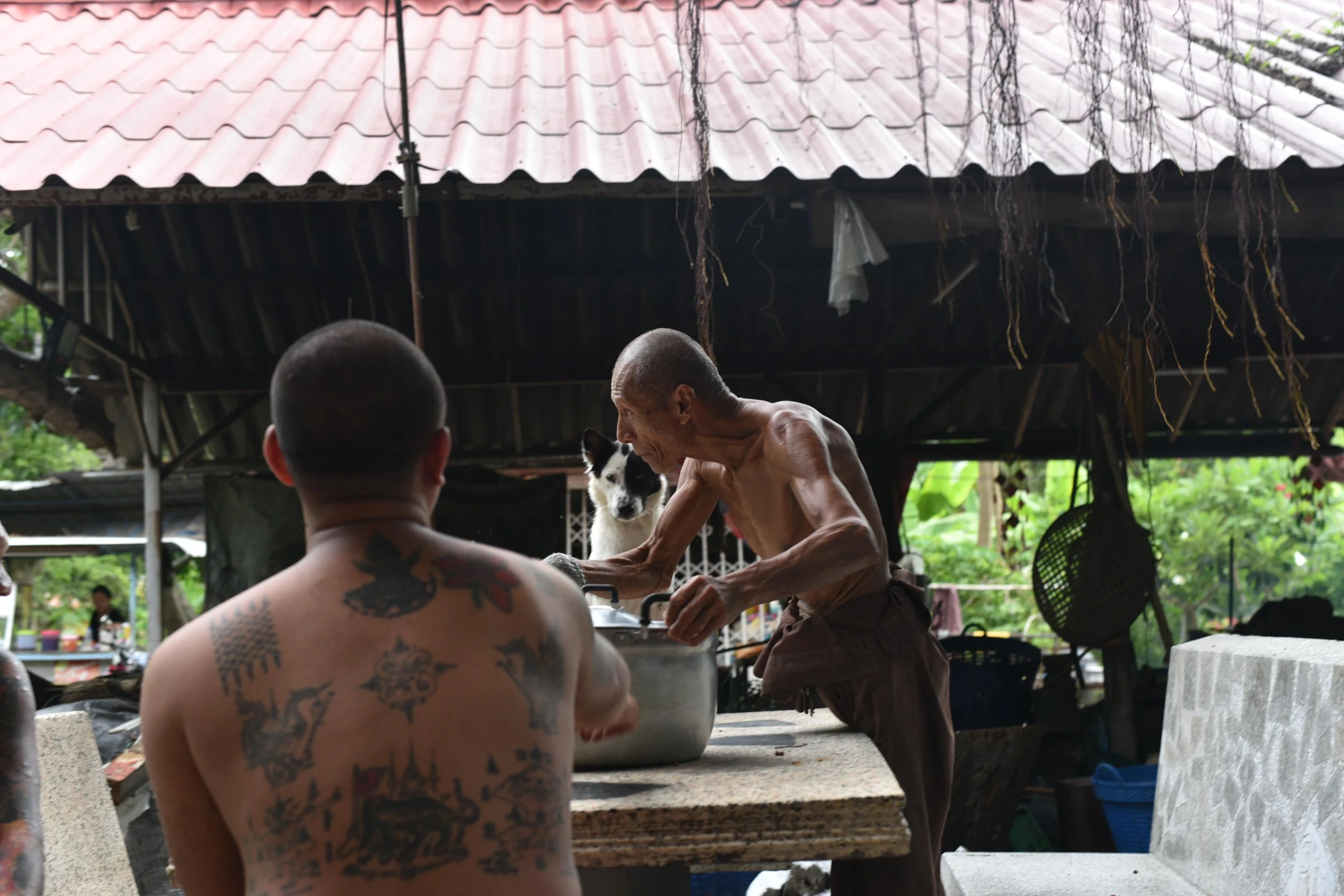 DSC_9541-min.JPG