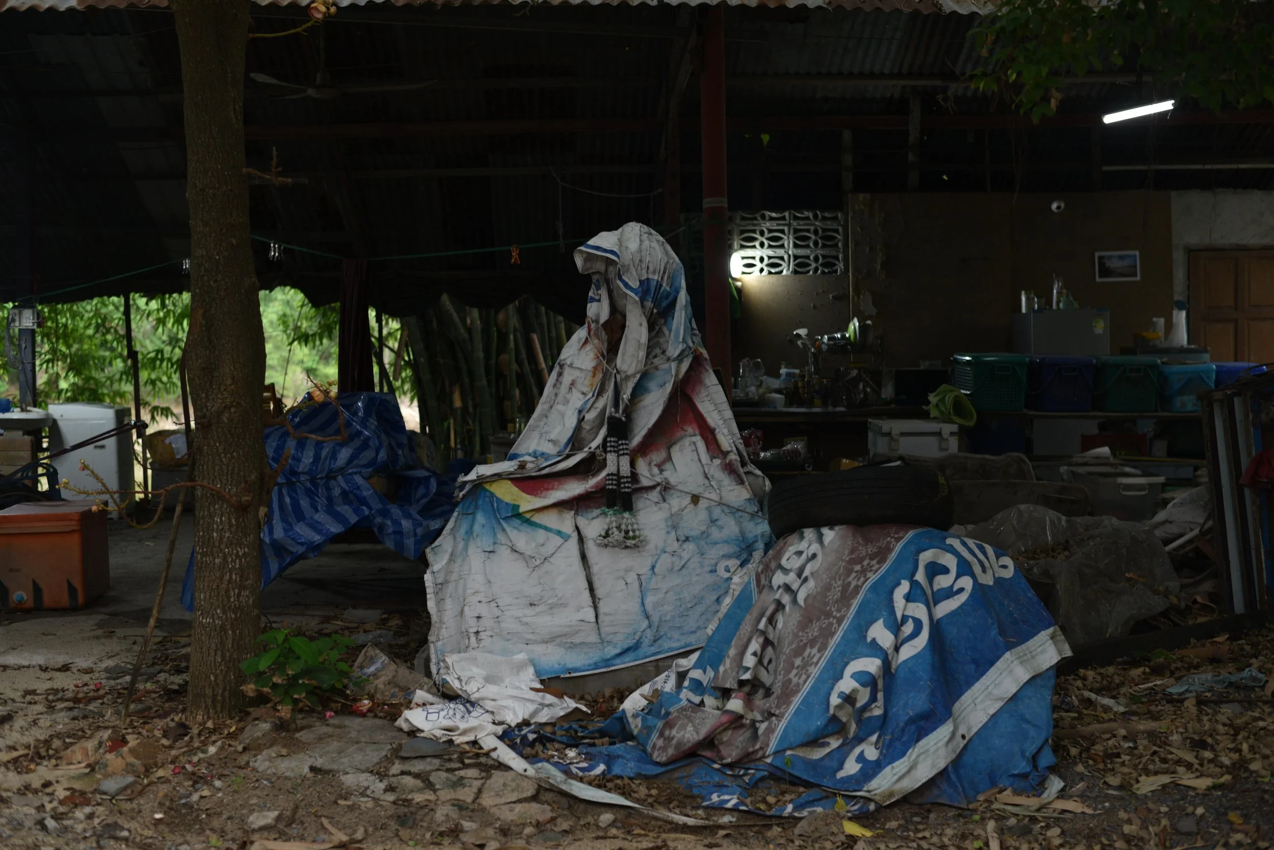 DSC_9638-min.JPG