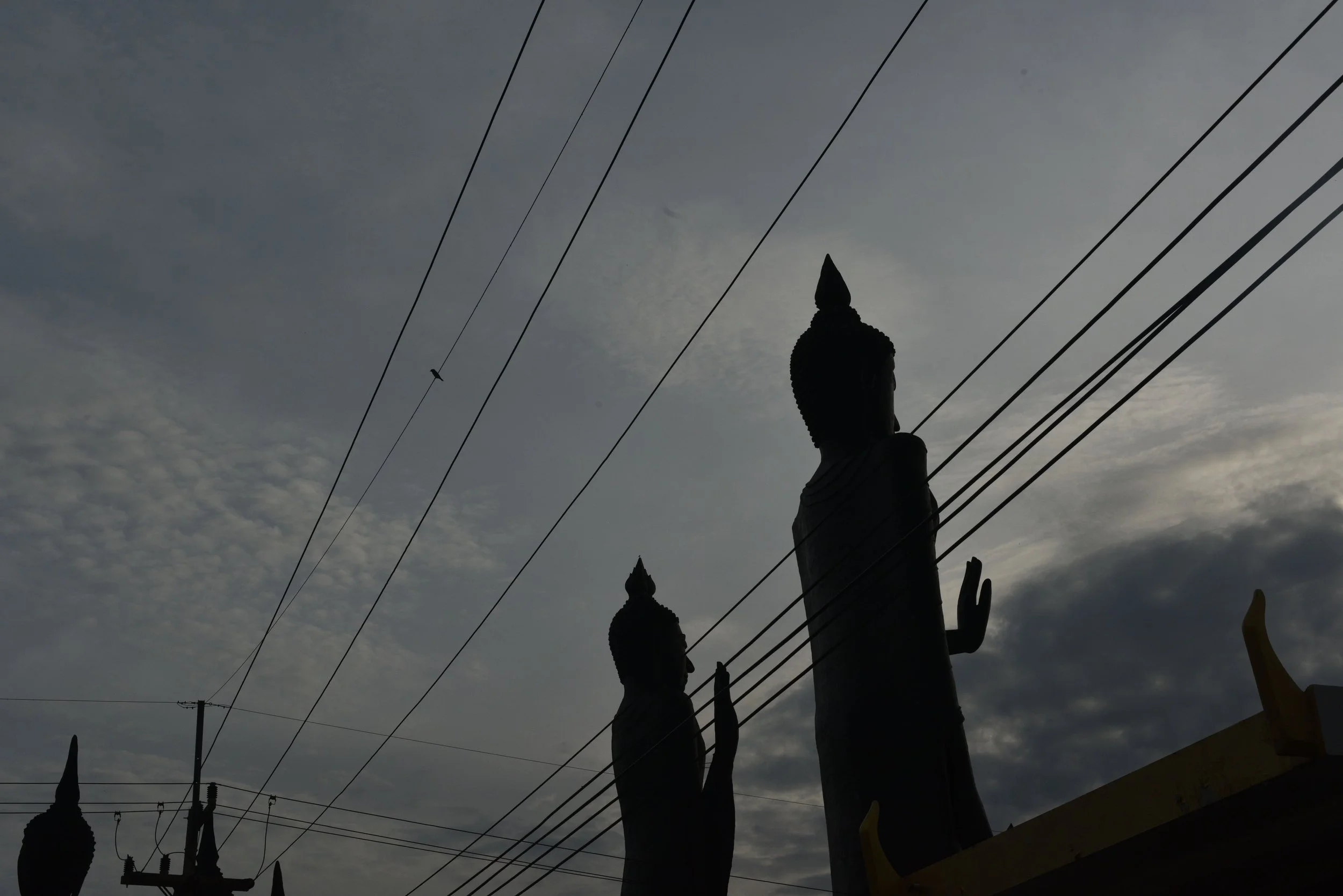 DSC_9703-min.JPG