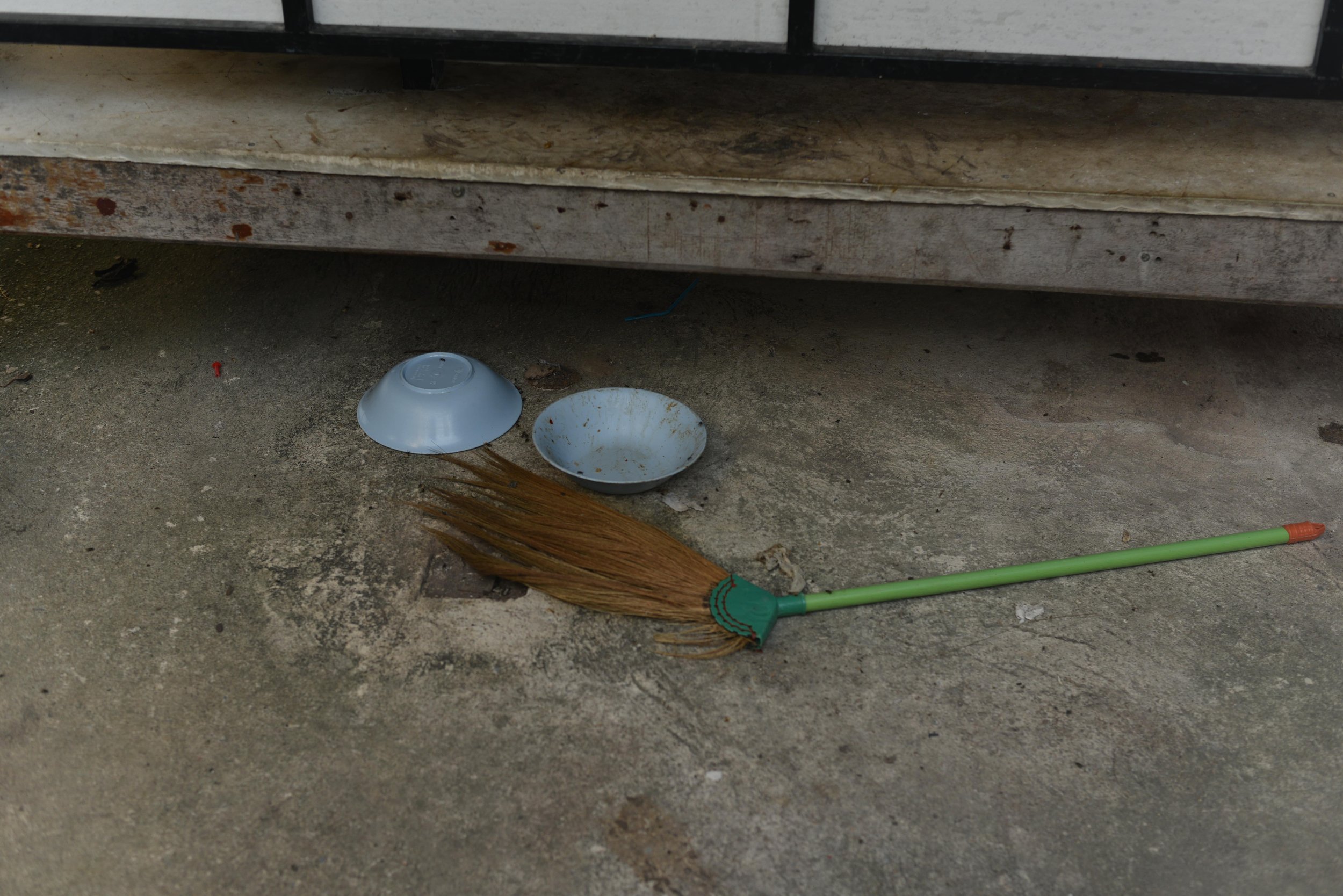 DSC_8630-min.JPG