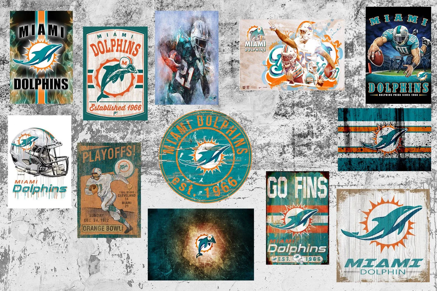 VariasMiamiDolphins.jpg