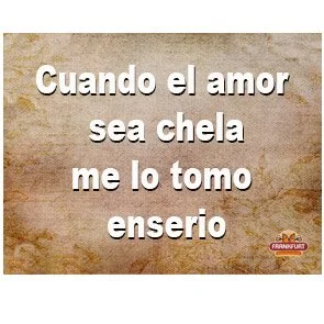 0341.jpg