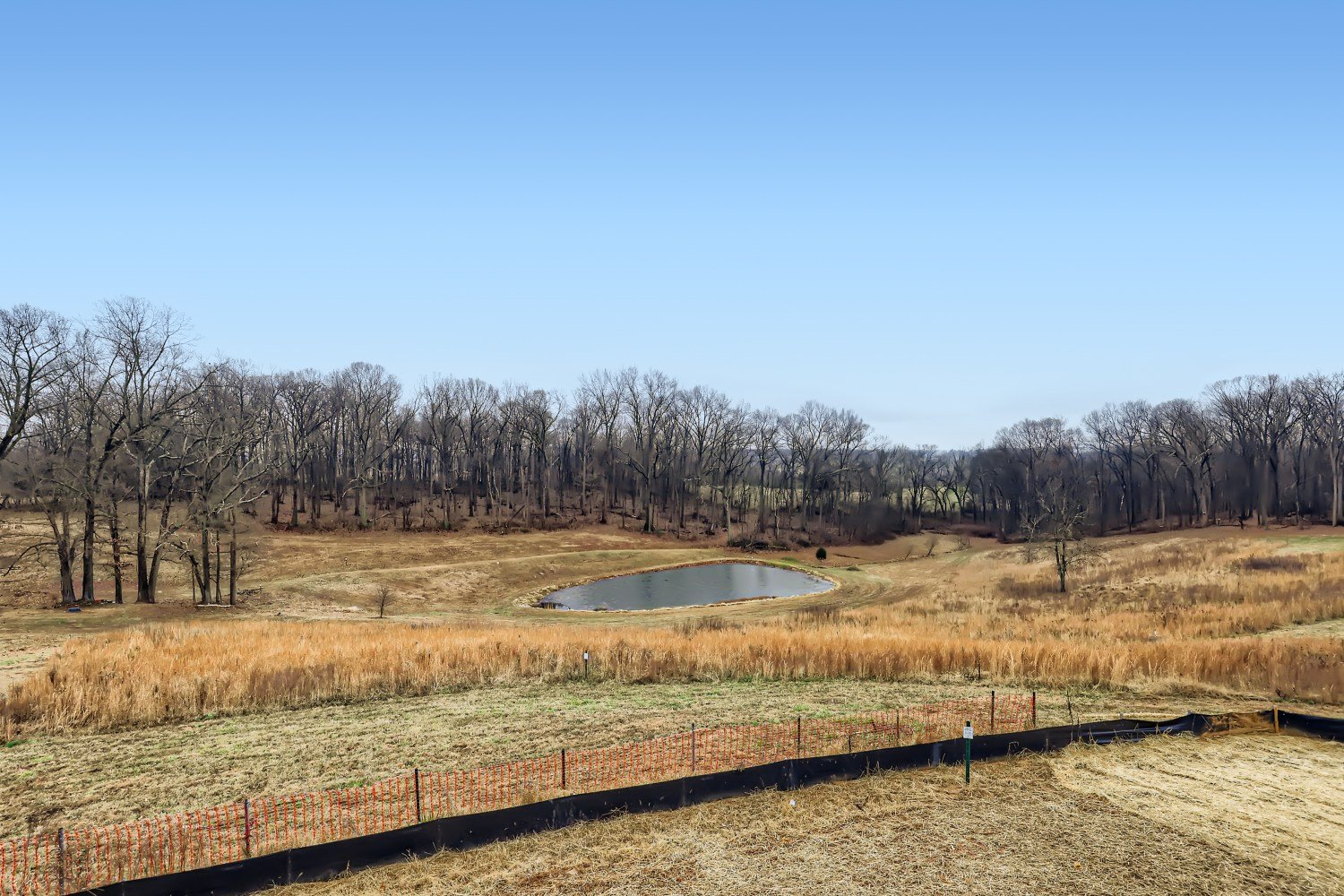 beautiful-pond-view.jpg