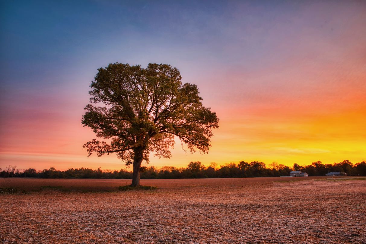 DSC_4457 HDR.jpg