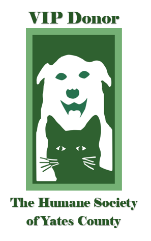 VIP Donor Decal.png