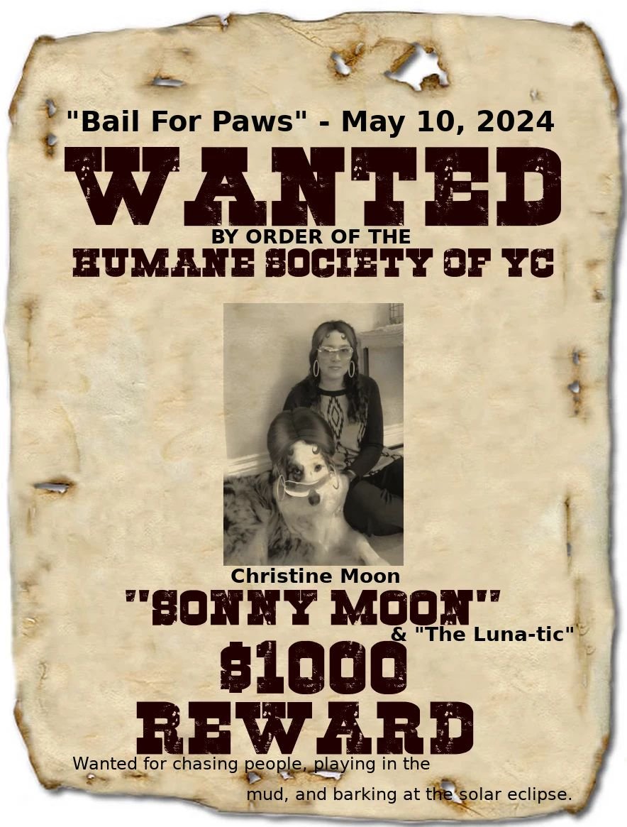 Christine Moon wanted poster.jpg