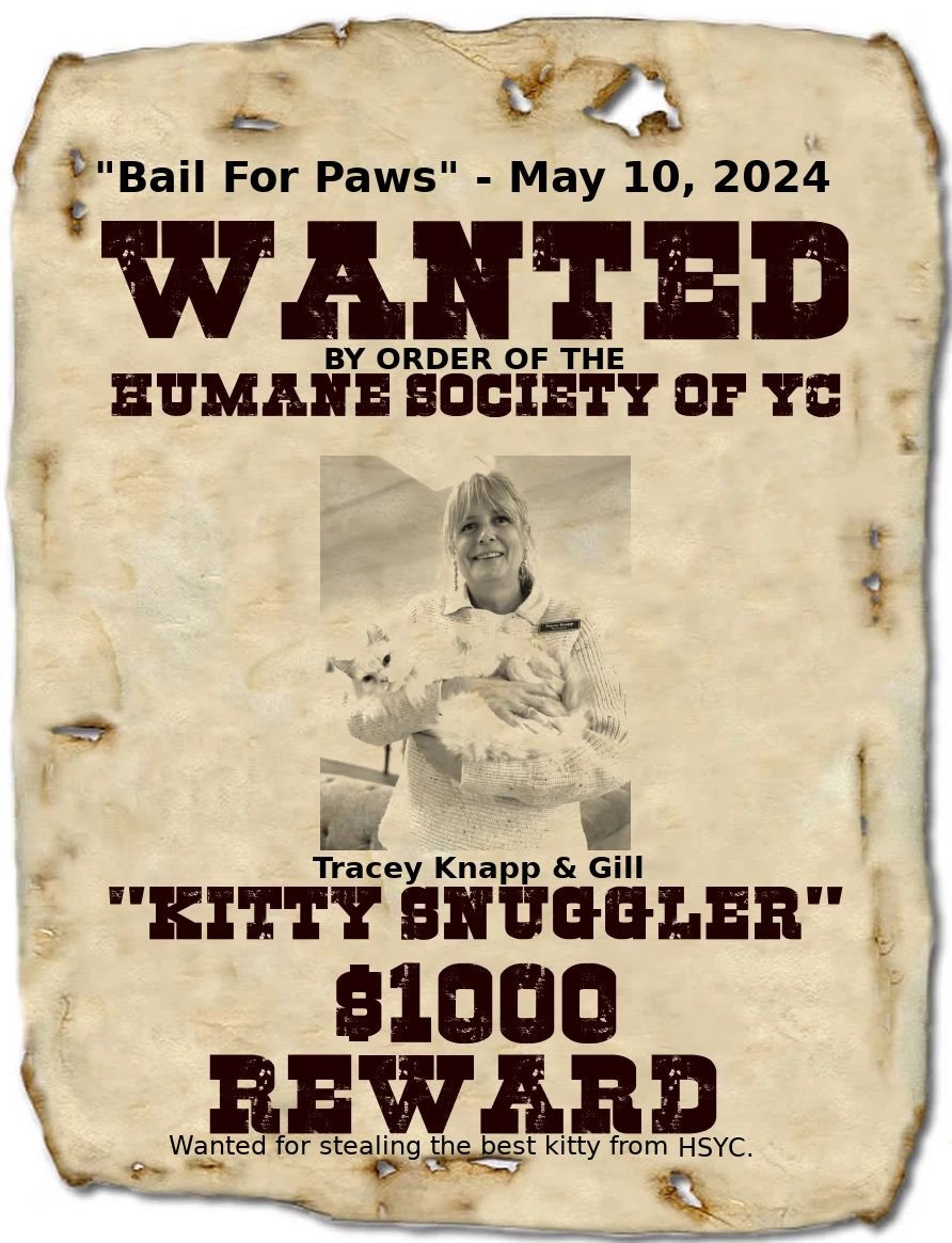 Tracey Knapp & Gill wanted poster 2024.jpg