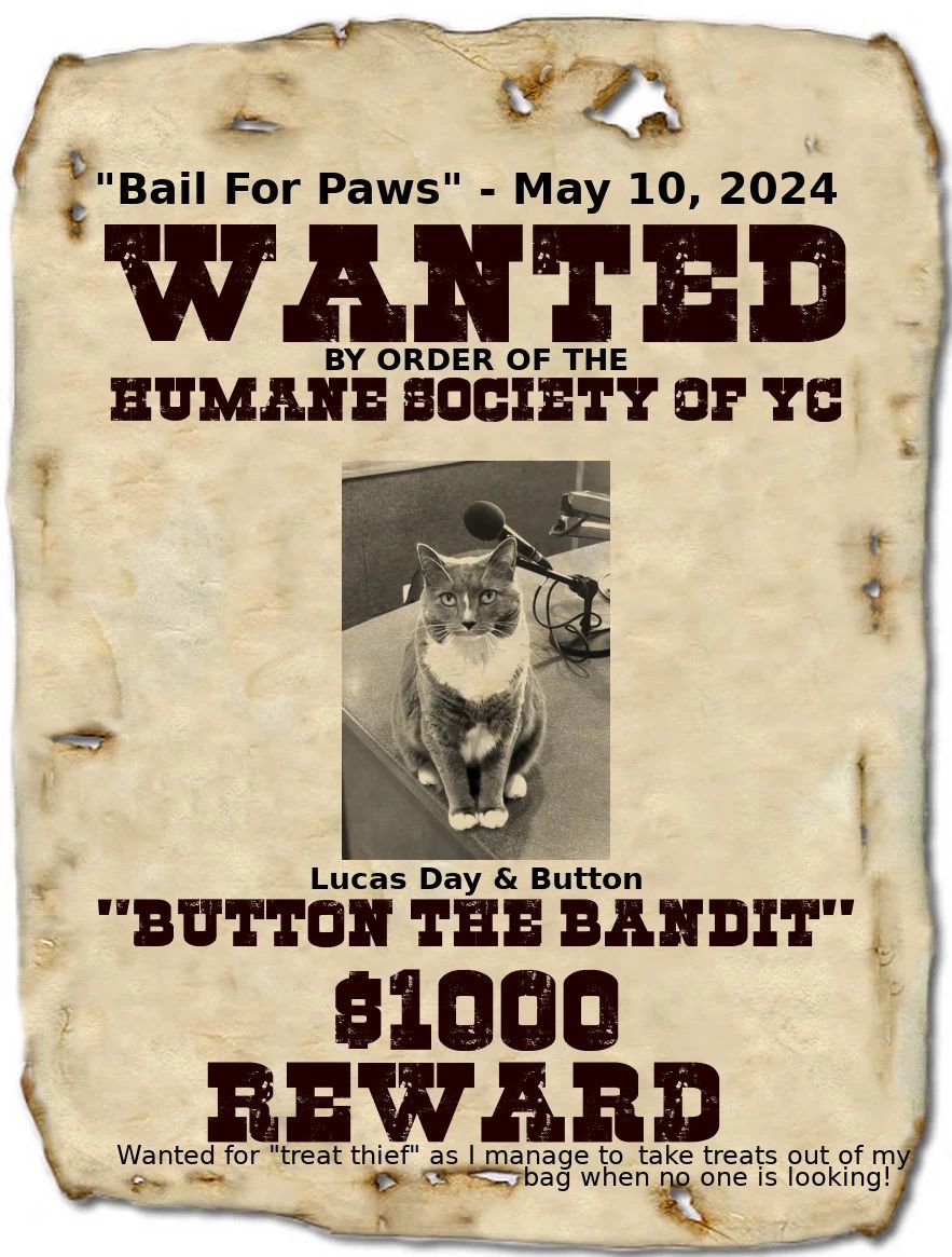 Lucas Day wanted poster.jpg