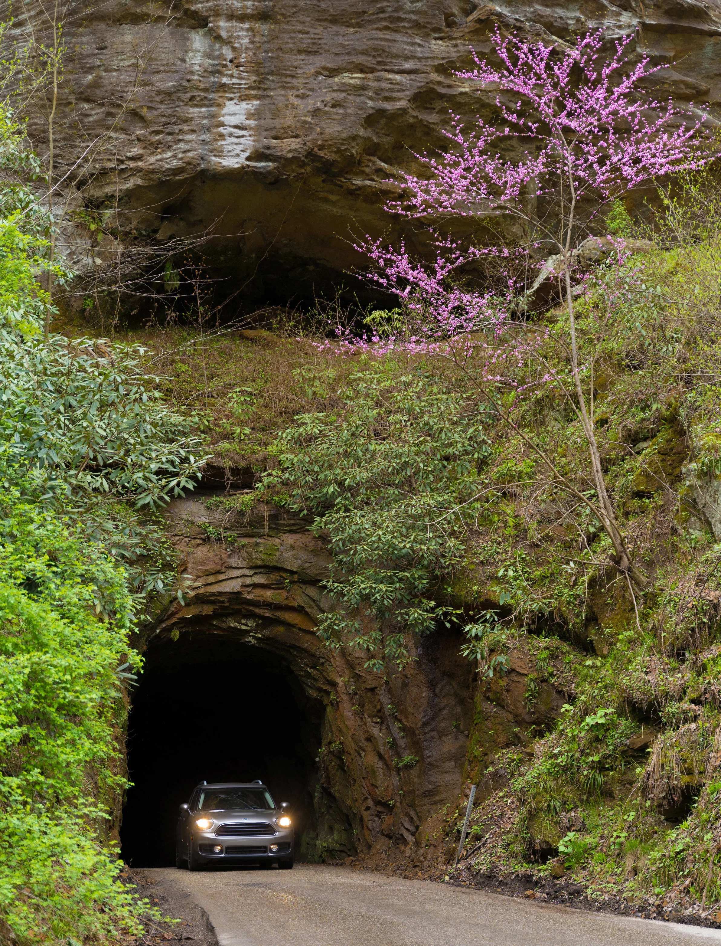 Can I just point out that the car you see squeaking through the tunnel in this photo is a MINI COOPER? The super-chic rented minivan was about as big a vehicle as I’d want to try to maneuver through this thing.
