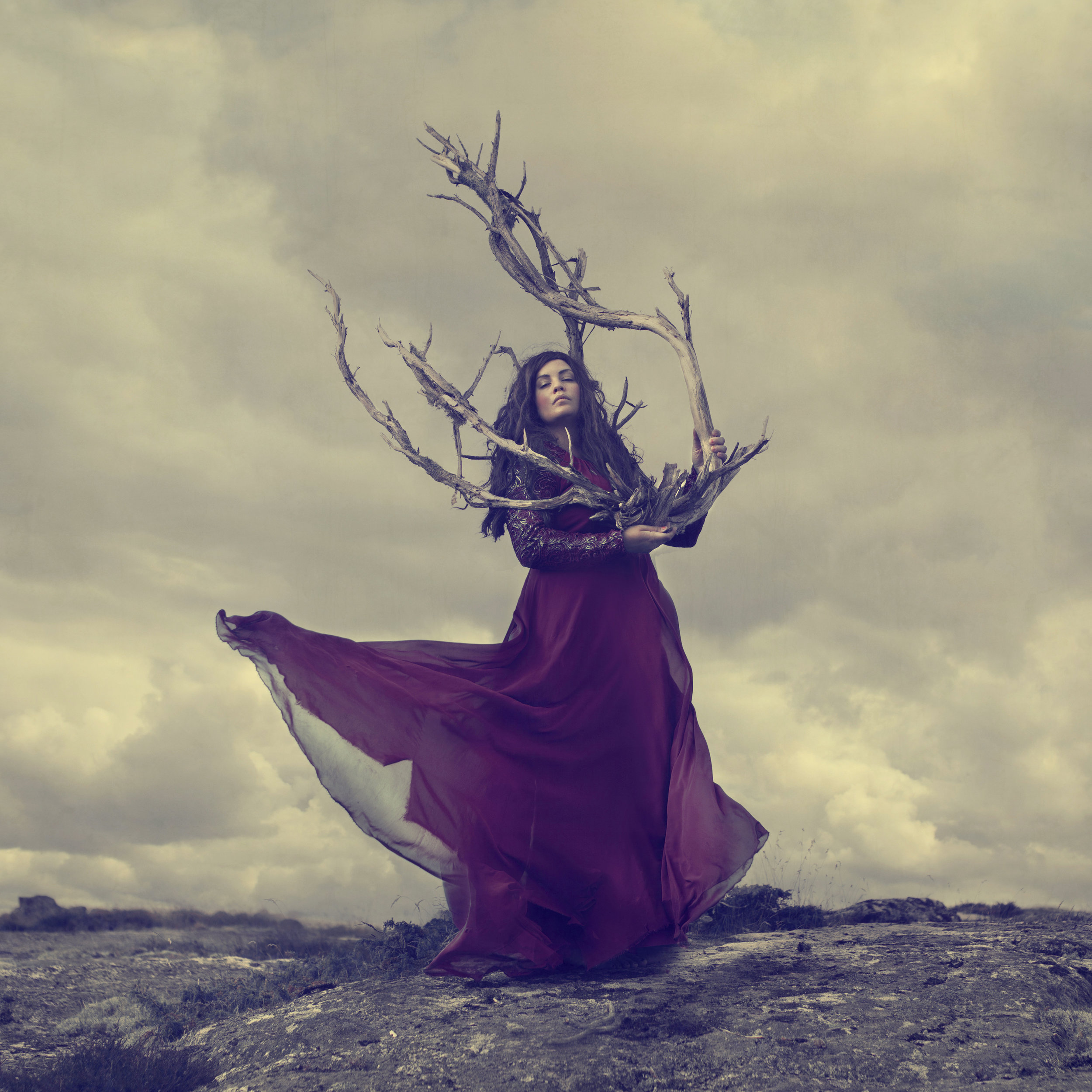 The Roots by Maren Klemp