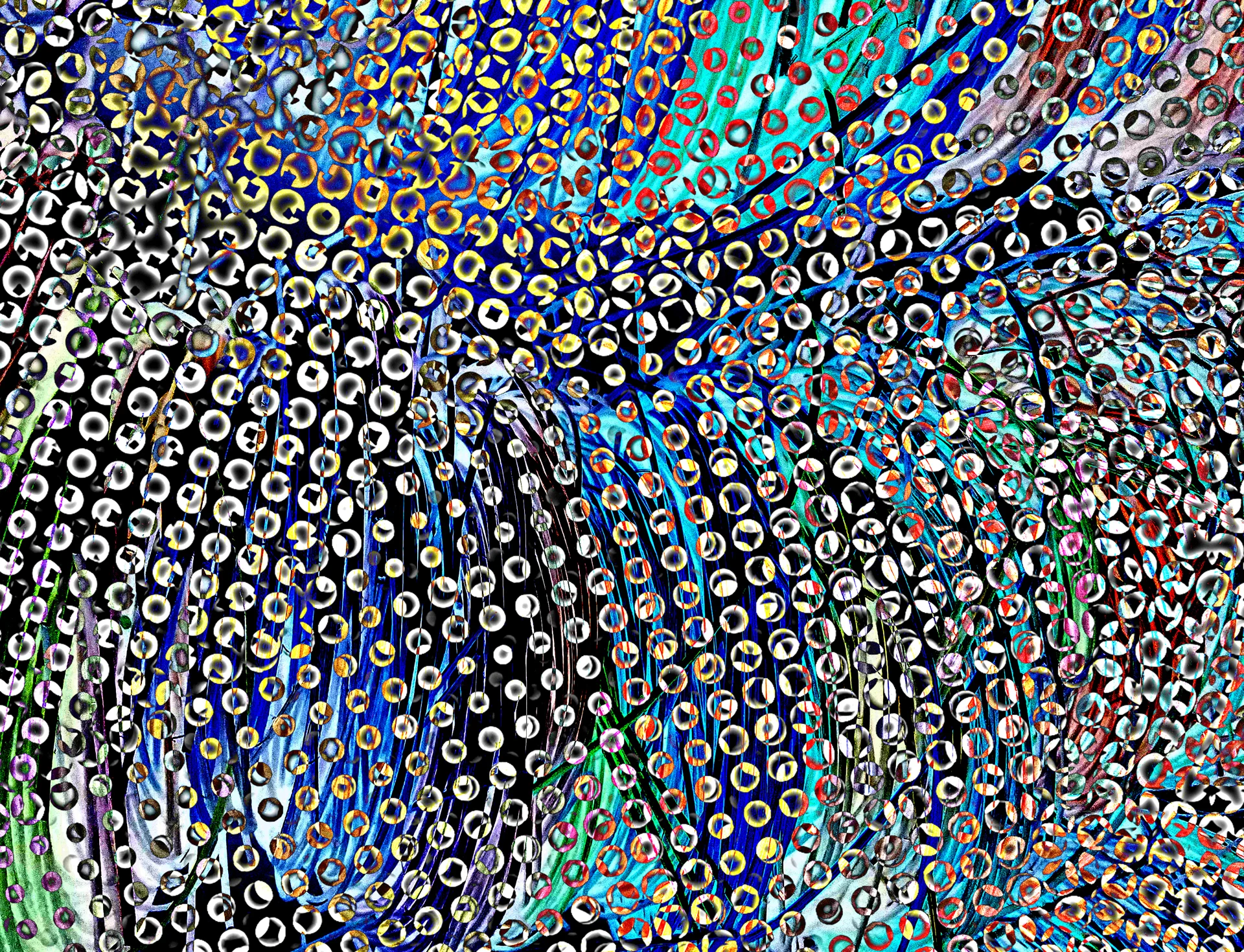 Pinpoint by Carol Levin