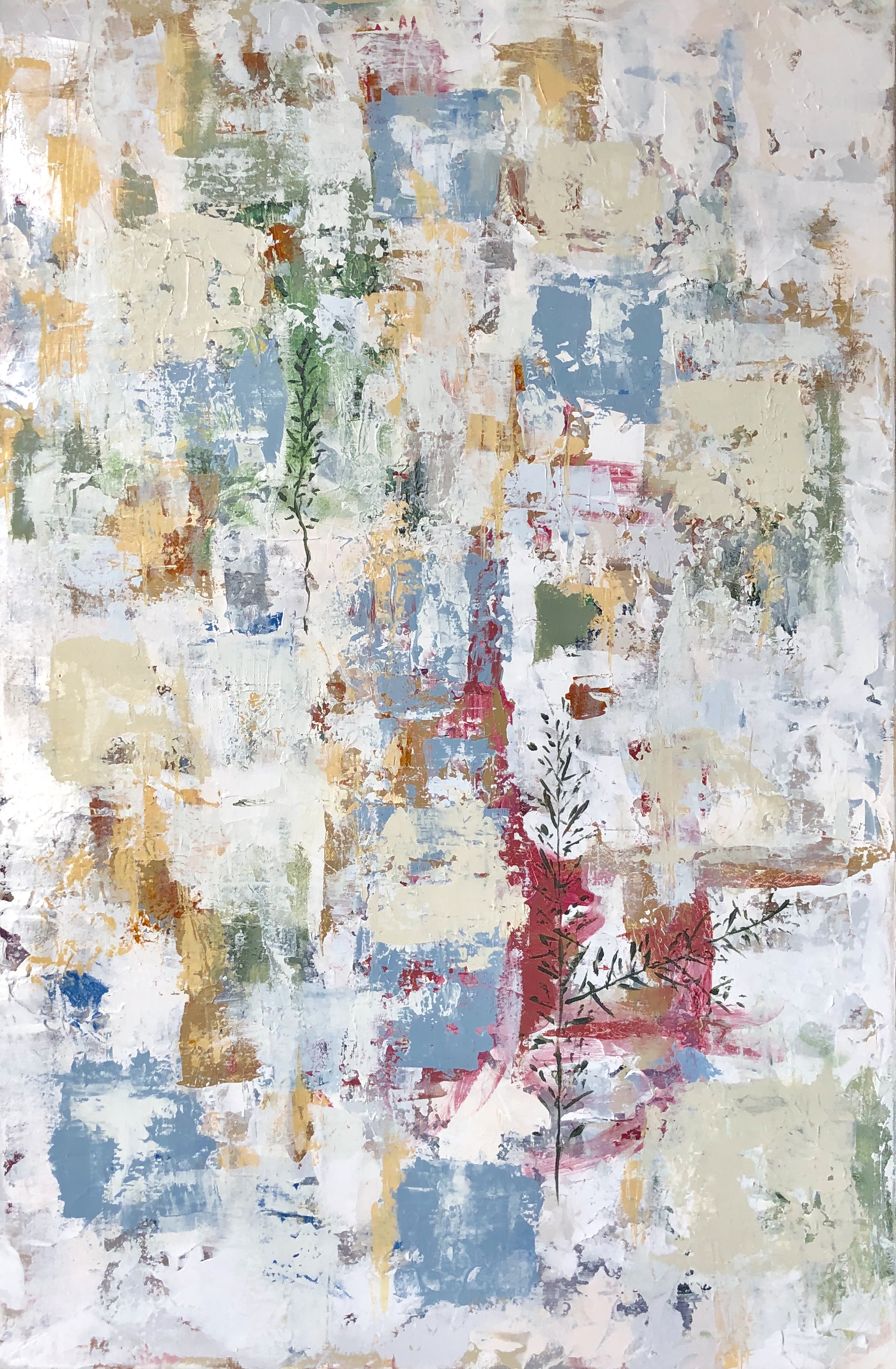 Asparagus Fern by Kelly Marshall