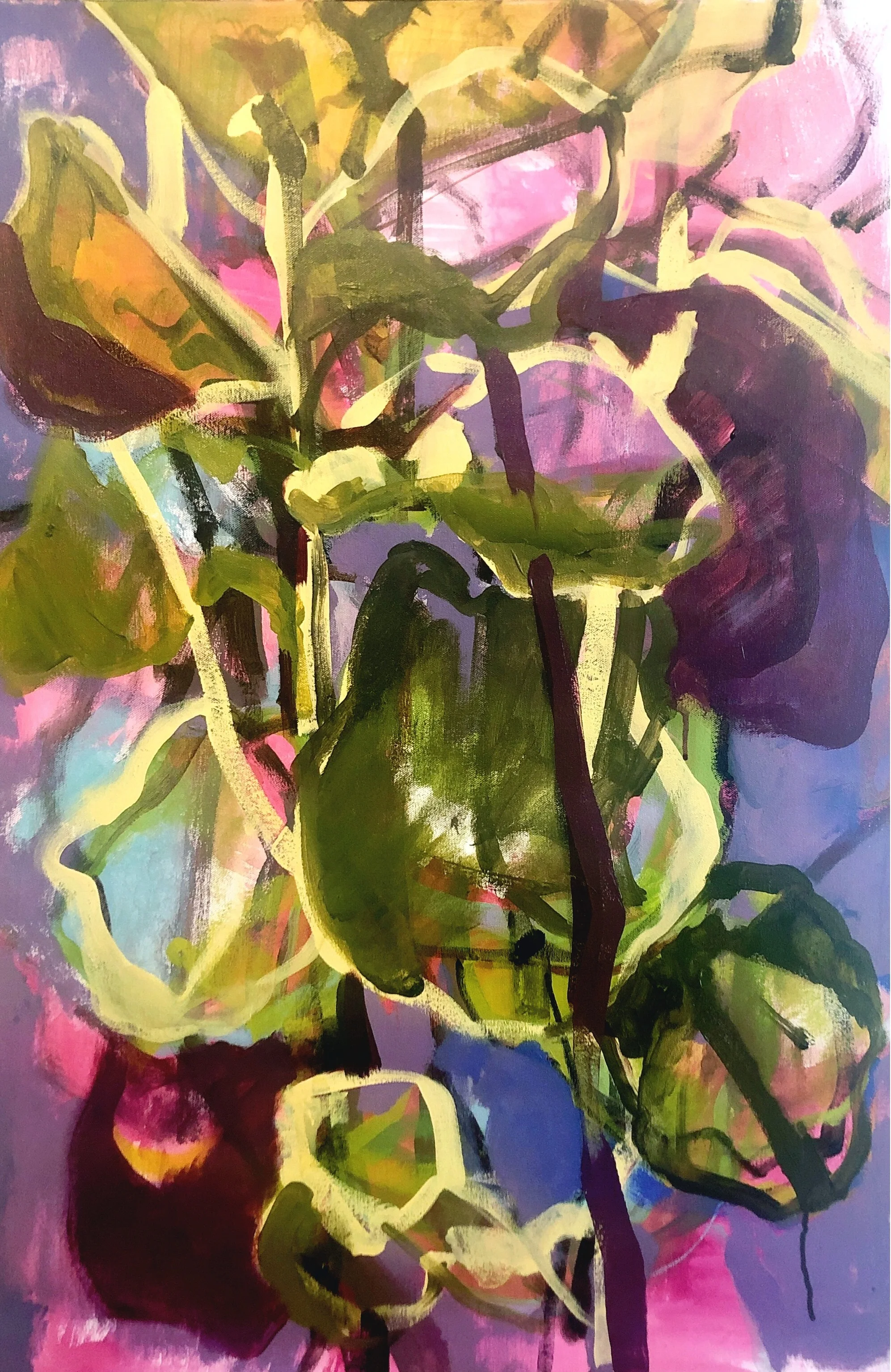 Ficus Lyrata by Zachary Dewitt