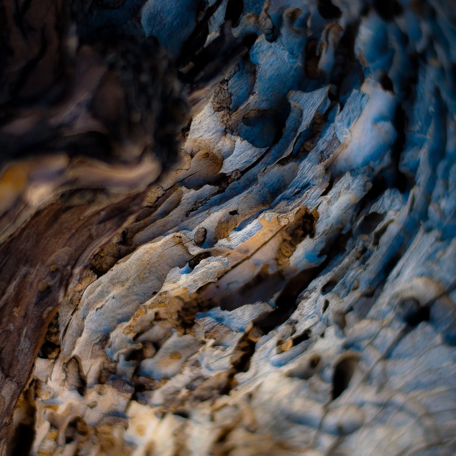 03_In Canyons 120_Noah Weiner.jpg