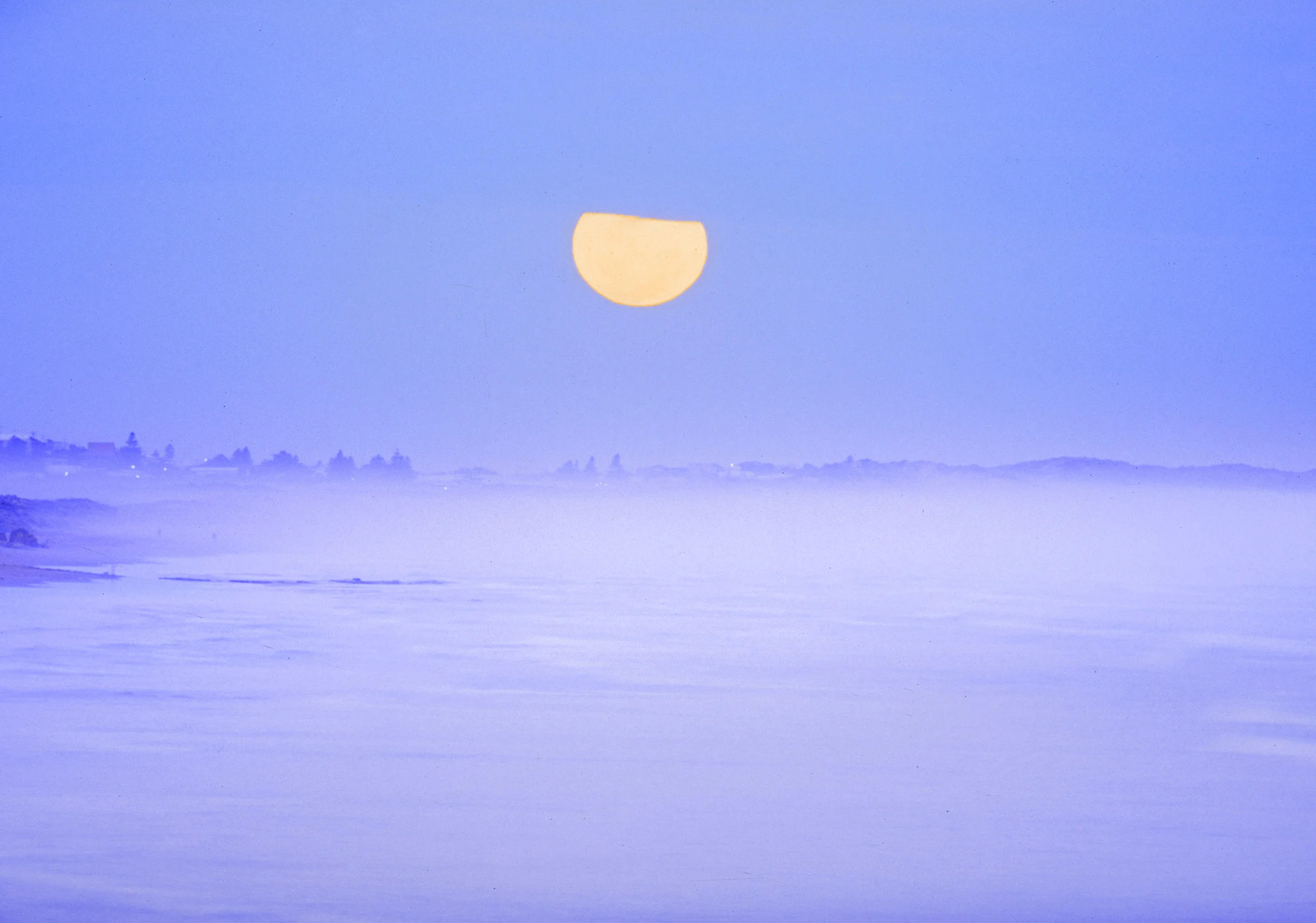 Half Mood and Fog by Alex Frayne