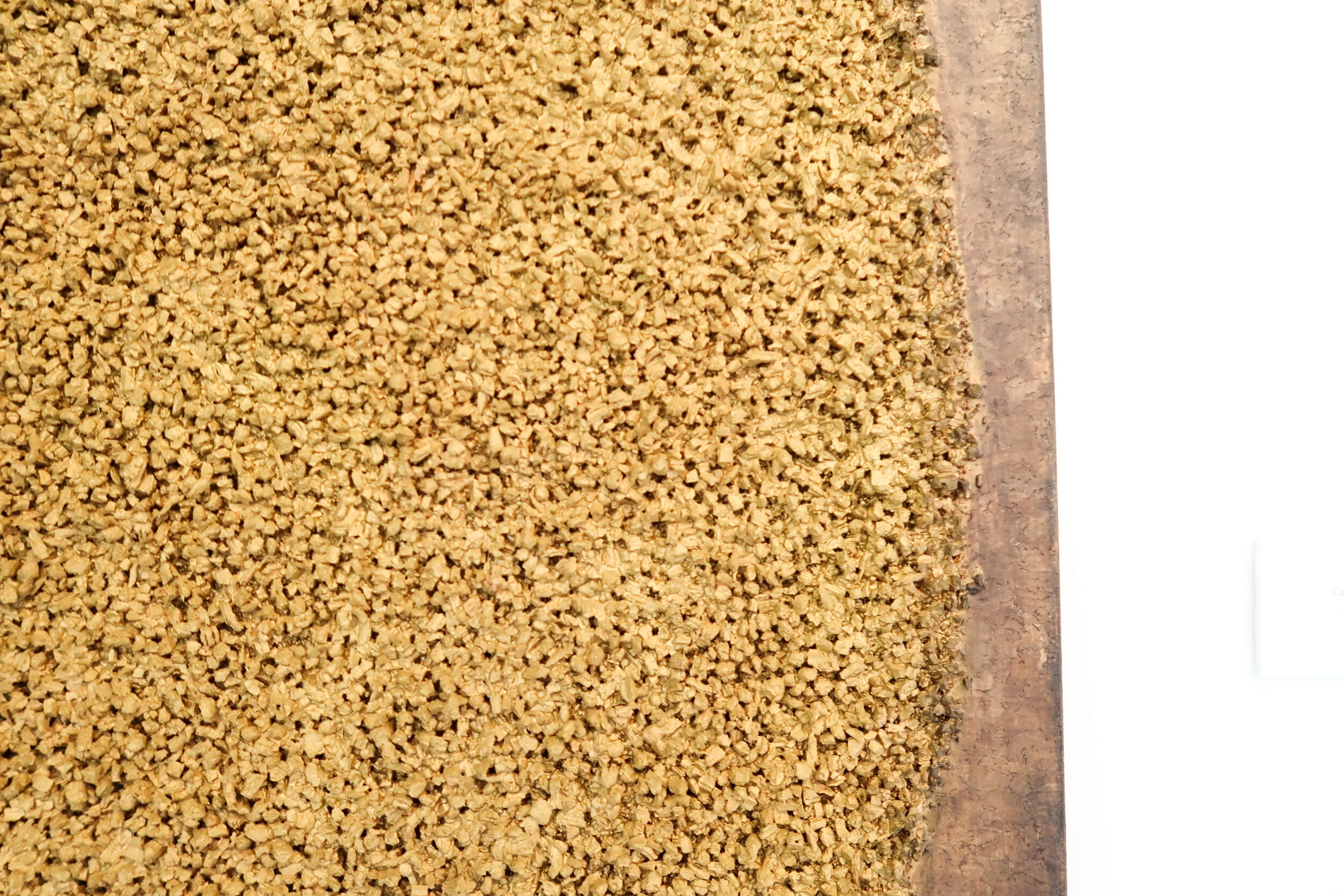 CS Cork  (3 of 3).jpg