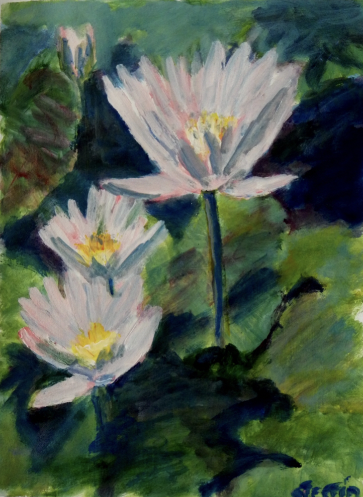 Lily Star by Samacca Art