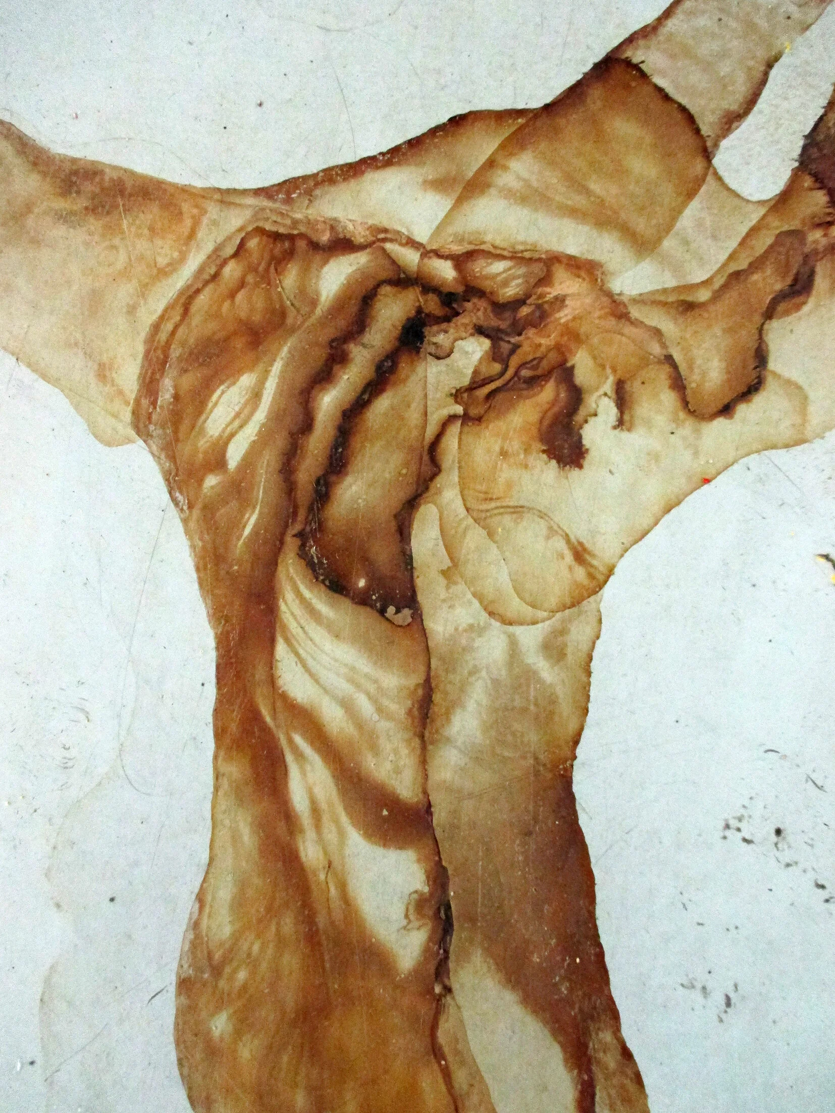Liquid flesh