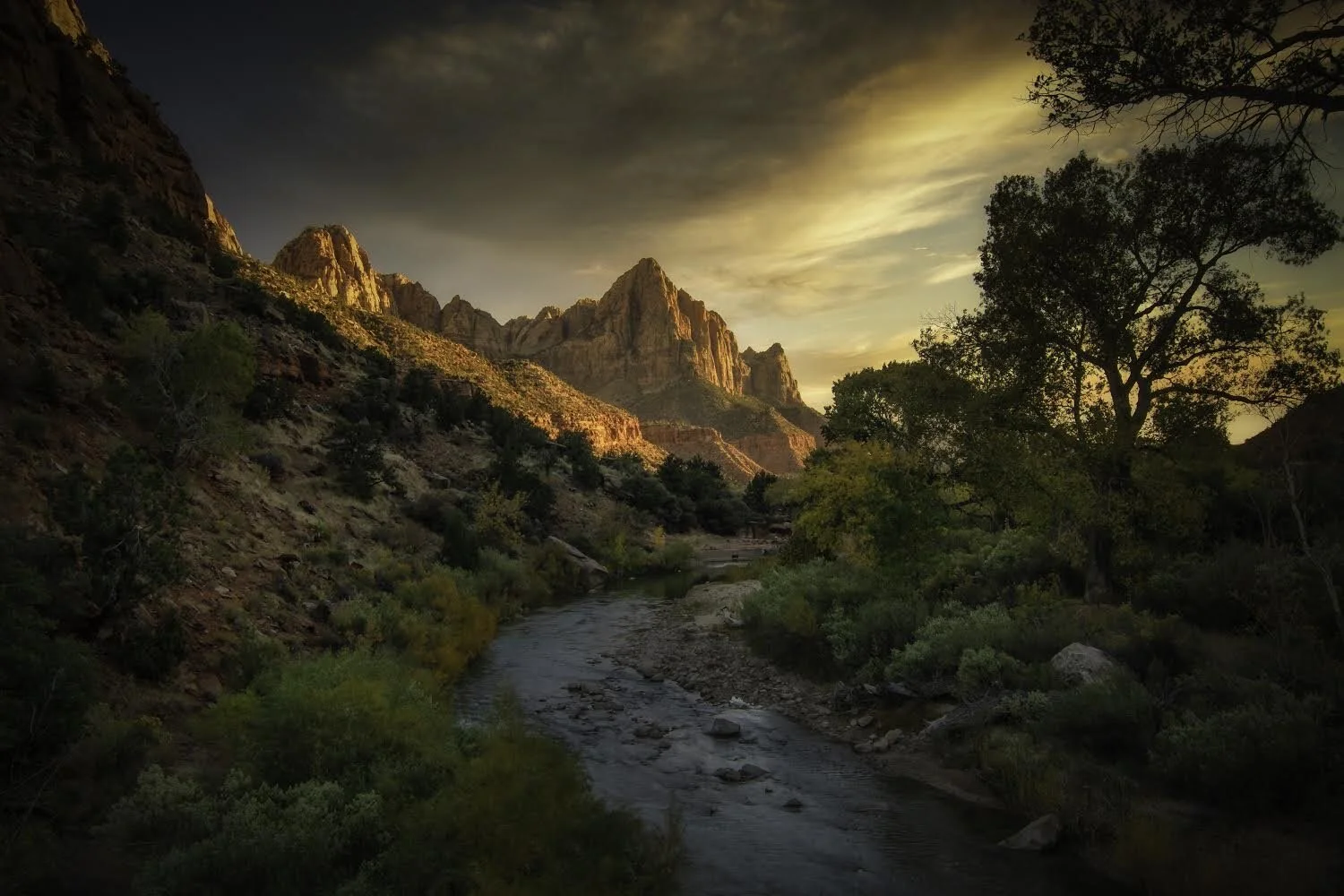 Sunset on the Watchman, Zion National Park